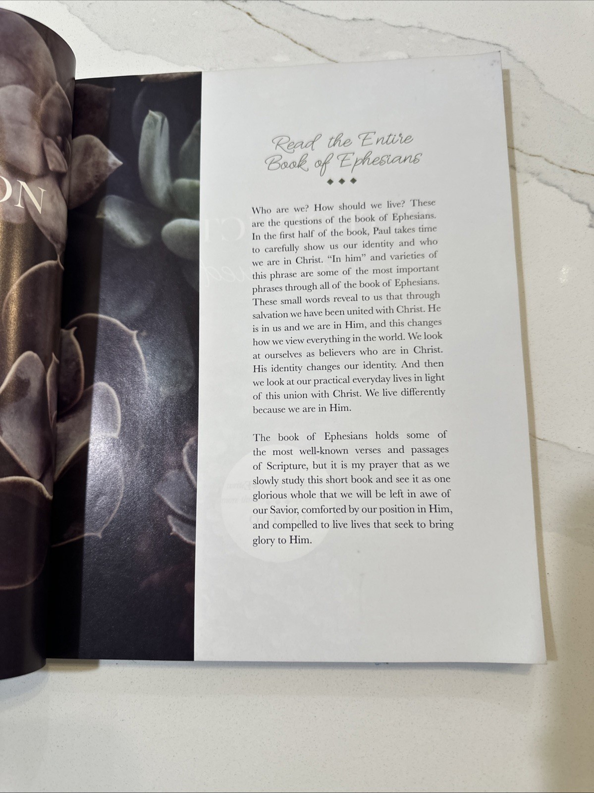 Chosen: A Study on the Book of Ephesians – Paperback – GOOD
