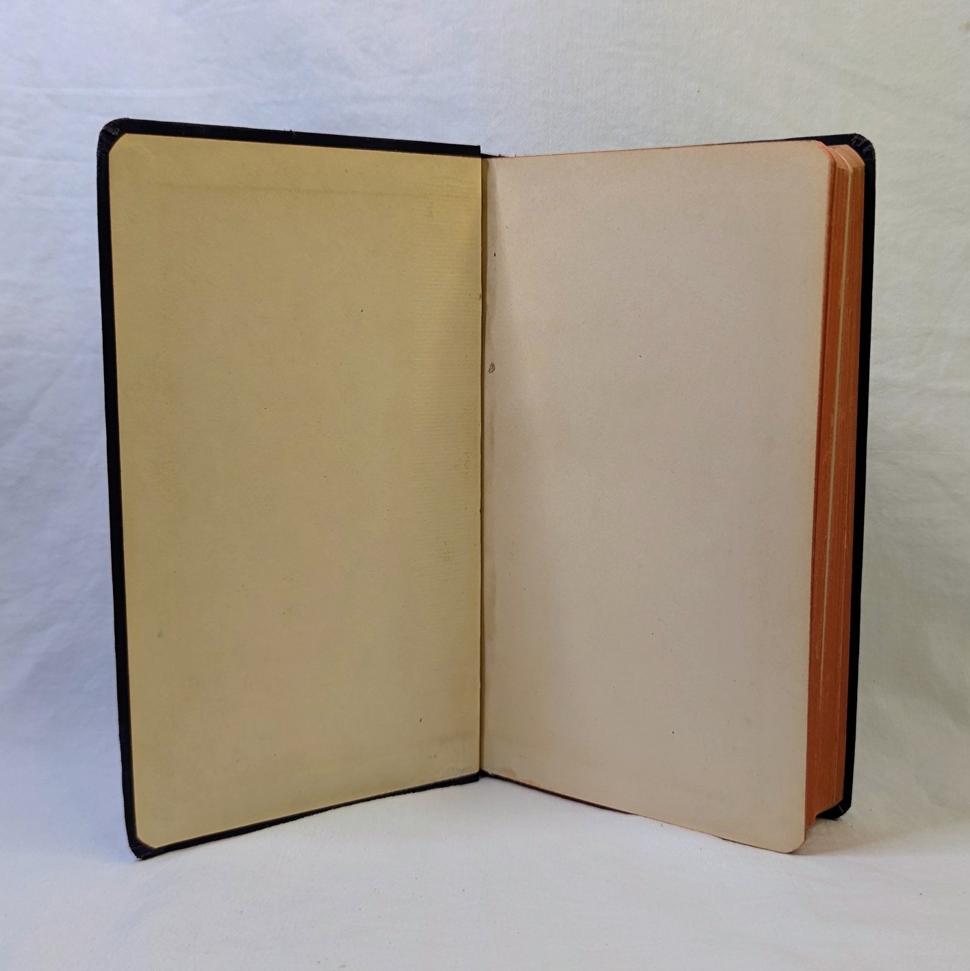 1930 Field Book of Ponds and Streams – Ann Haven Morgan – Putnam Nature Guide HC