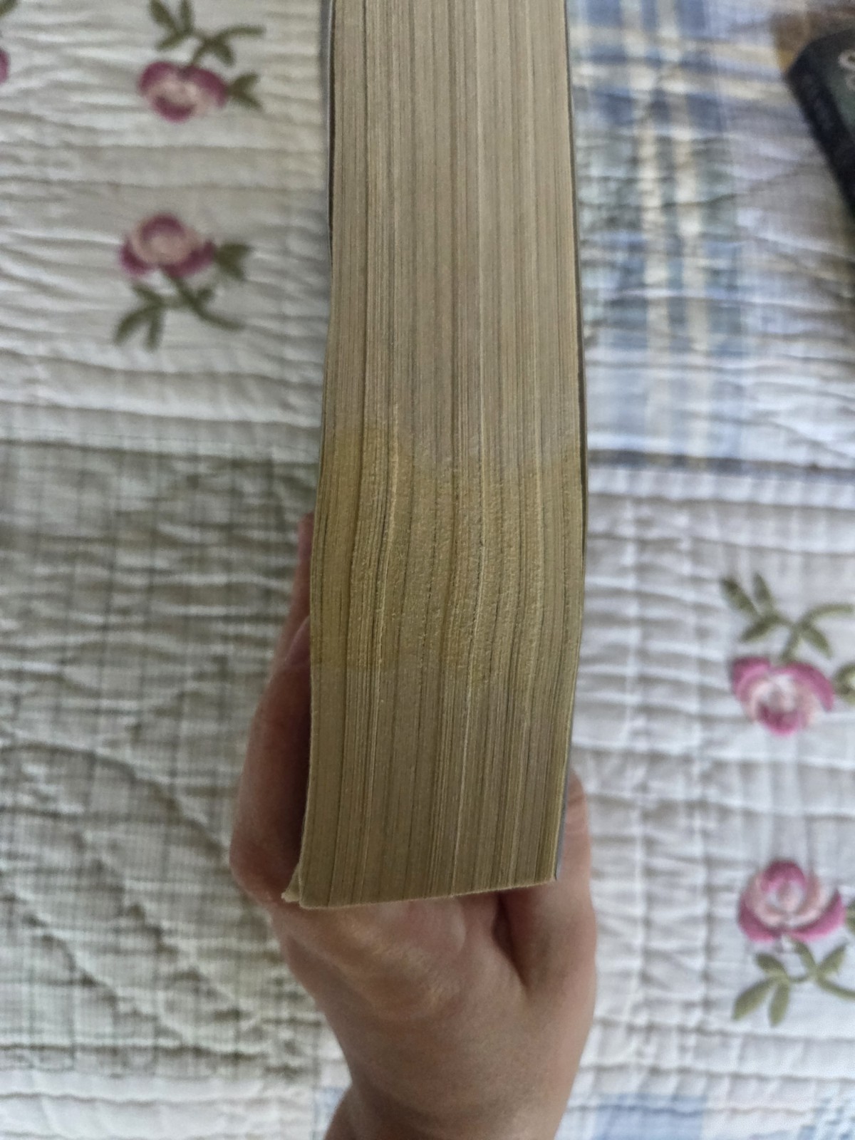 Cassandra Clare Shadowhunters Book Lot