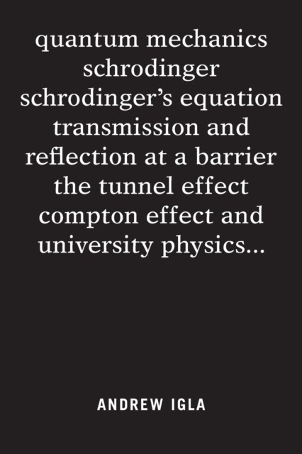 Igla – quantum mechanics schrodinger schrodinger’s equation transmissi – X555z