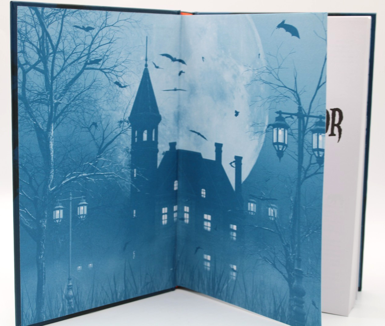 Gothic Horror Short Stories Arcturus Classic Book Harcover ISBN 9781398824218