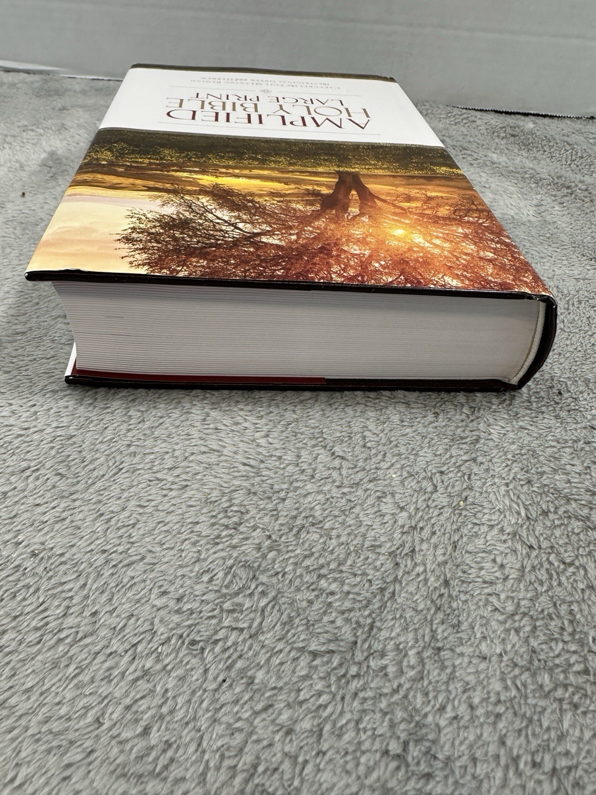 Amplified Holy Bible, Large Print: Captures the Full Meaning Behind the Original