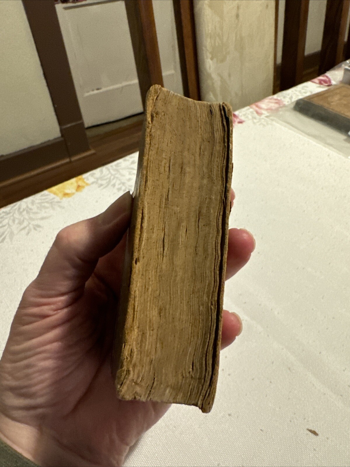 Richelieu A Tale Of France 1842, Volume 1…264 Pages