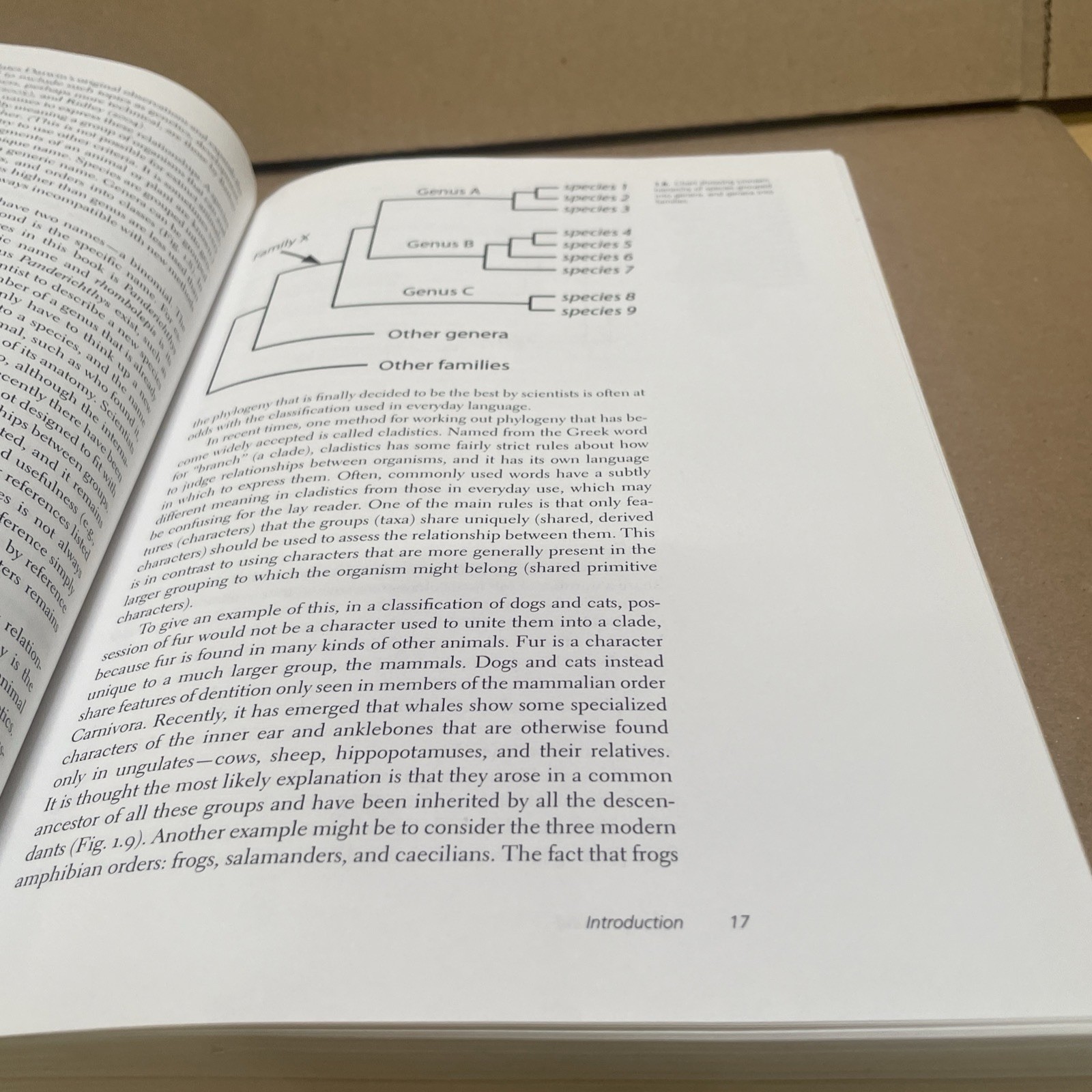 Gaining Ground: The Origin and Evolution of Tetrapods by Clack