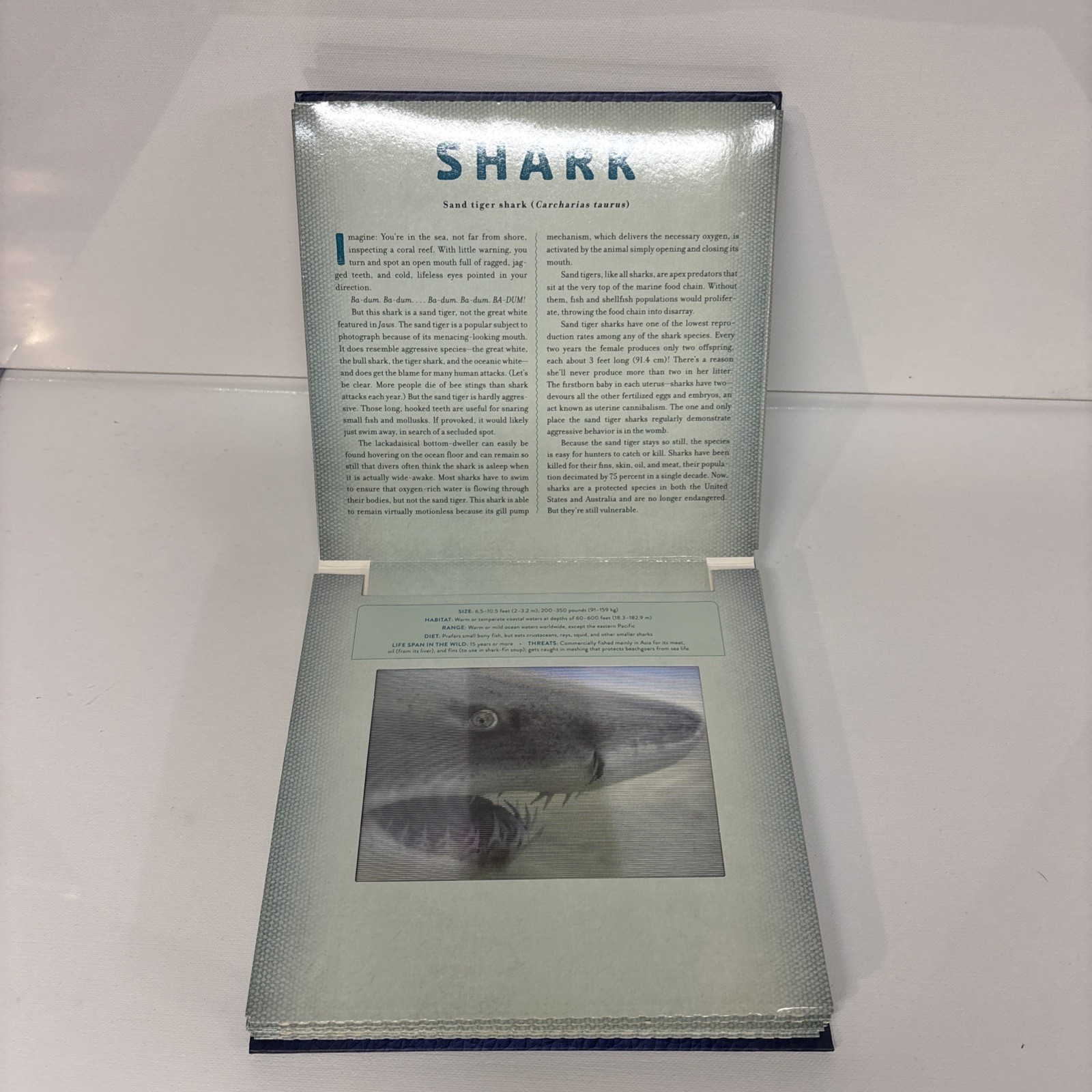 Ocean : A Photicular Book by Carol Kaufmann and Dan Kainen (2014, Hardcover)