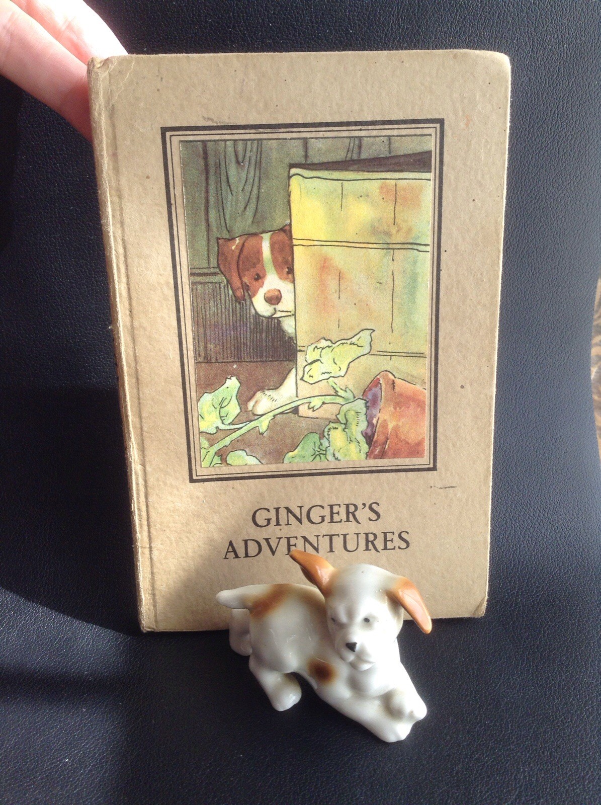 Vtg 401 Series Ginger’s Adventures Ladybird Book & 7cm Puppy Dog Figurine