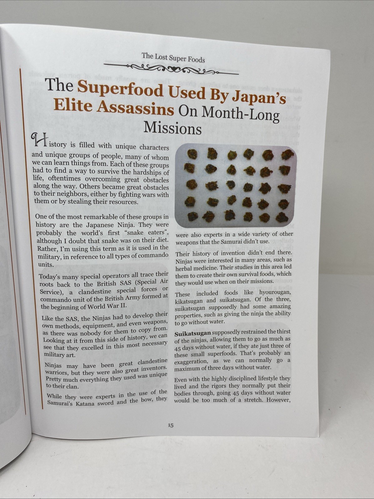 The Lost SuperFoods (2021 Paperback) — 126+ Survival Foods & Tips • Claude Davis