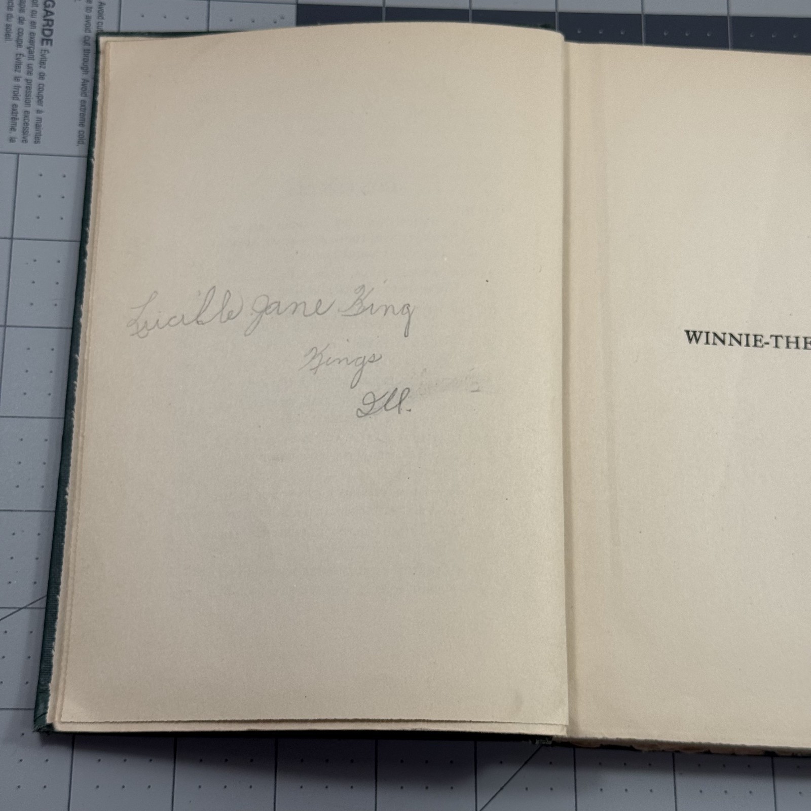 Vintage 1929 Winnie-the-Pooh A.A. Milne E.P. Dutton Illustrated by E.H. Shepard
