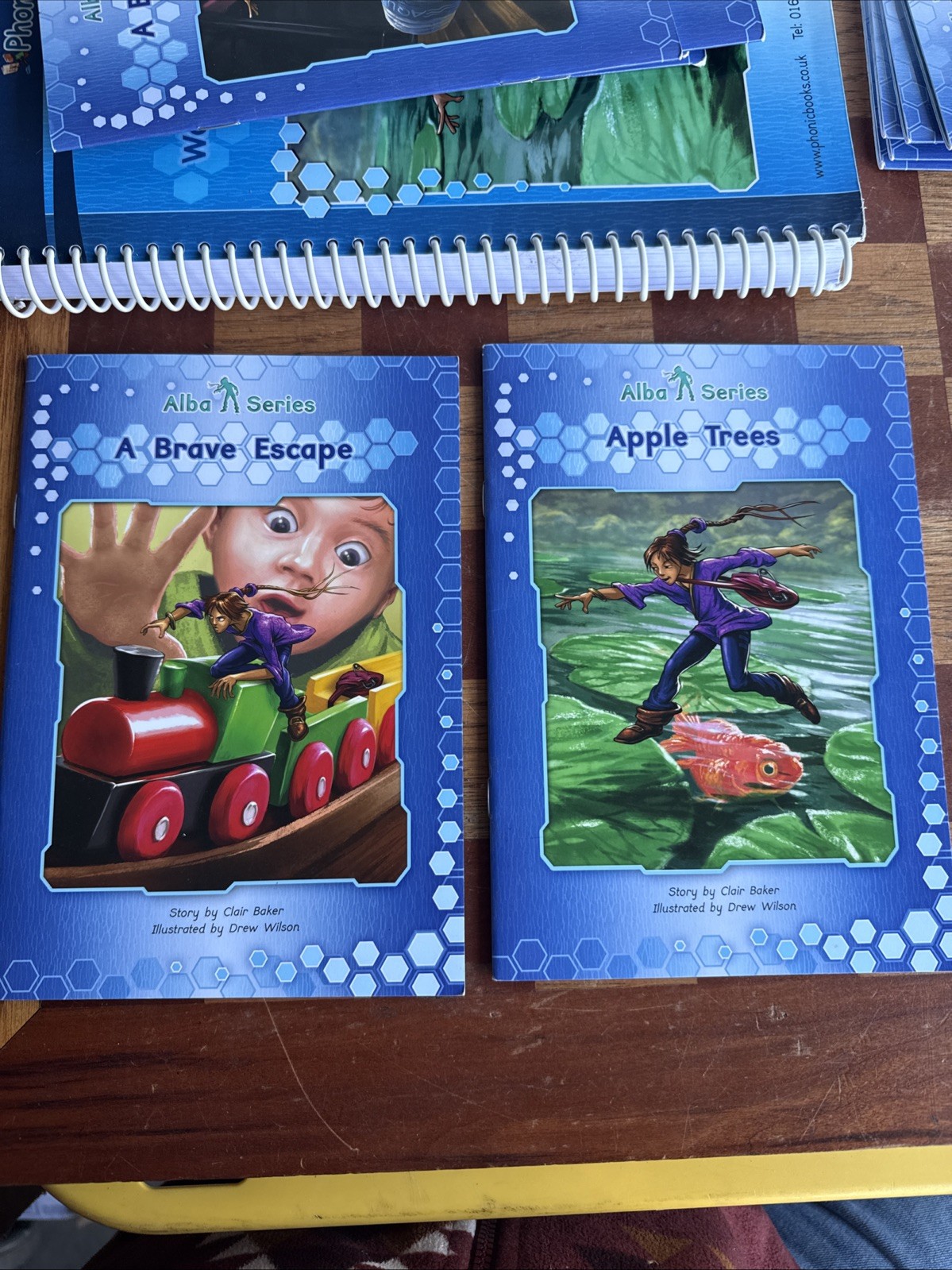 Phonic BOOK LOT: Alba Series Workbook With Books 1-12 Used Missing 1 Book