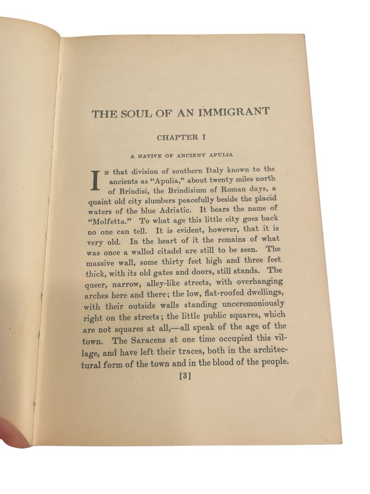 Soul Of An Immigrant By Constantine Pununzio 1924 Hardcover Edition Macmillan