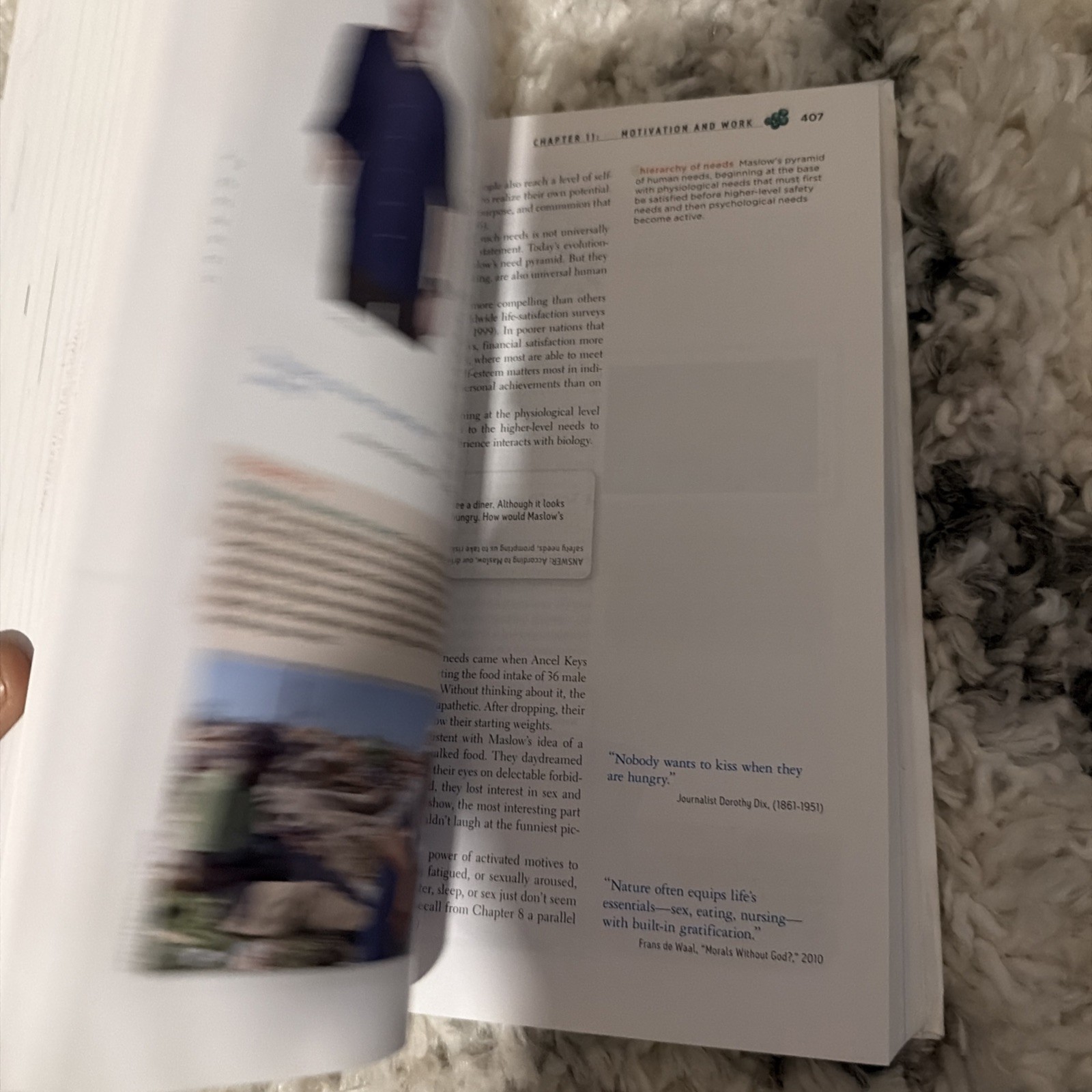 Psychology by David G. Myers (2011, Hardcover)