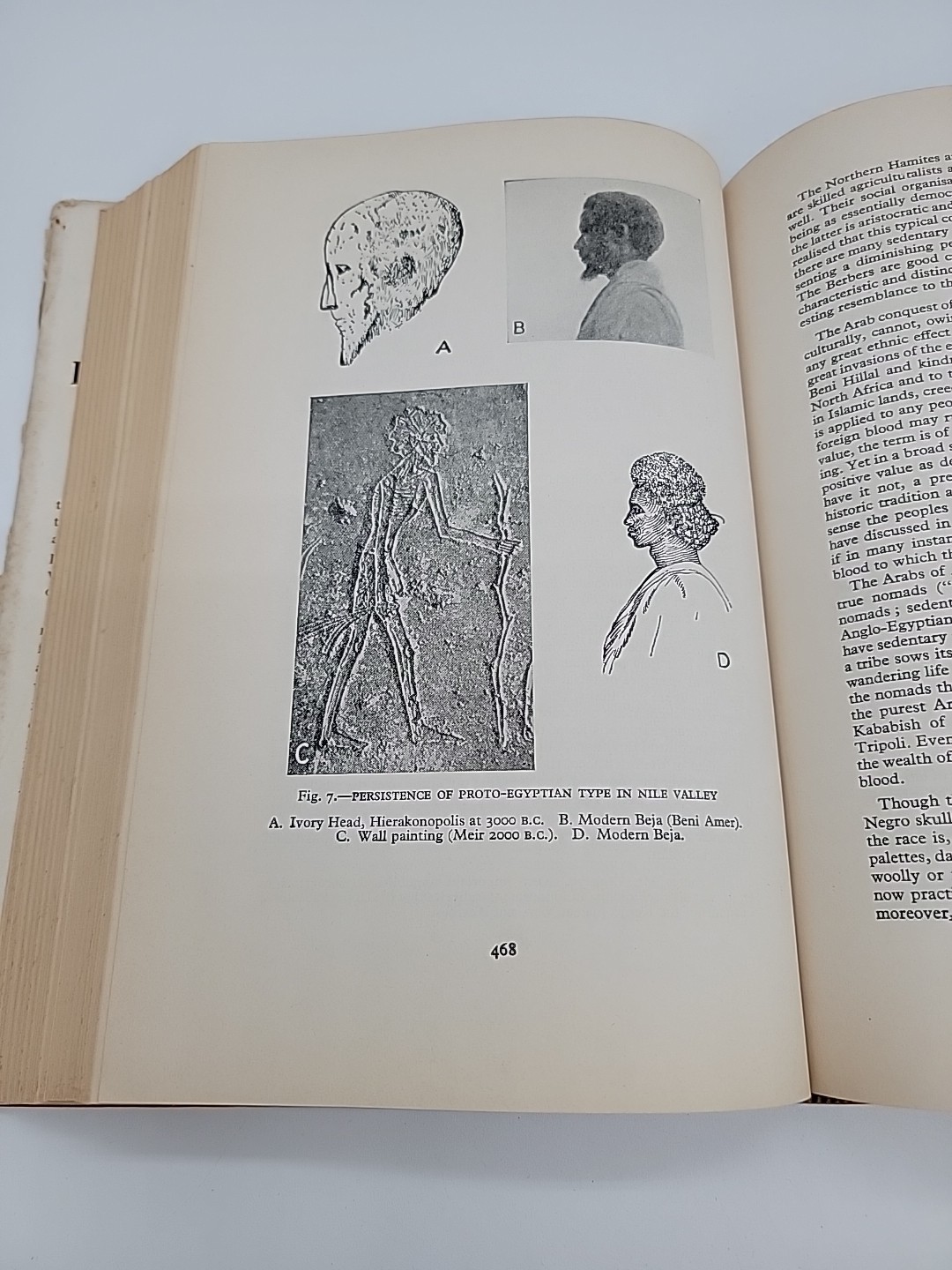 An Outline Of Modern Knowledge By William Rose 1120 Page Science Biology Music