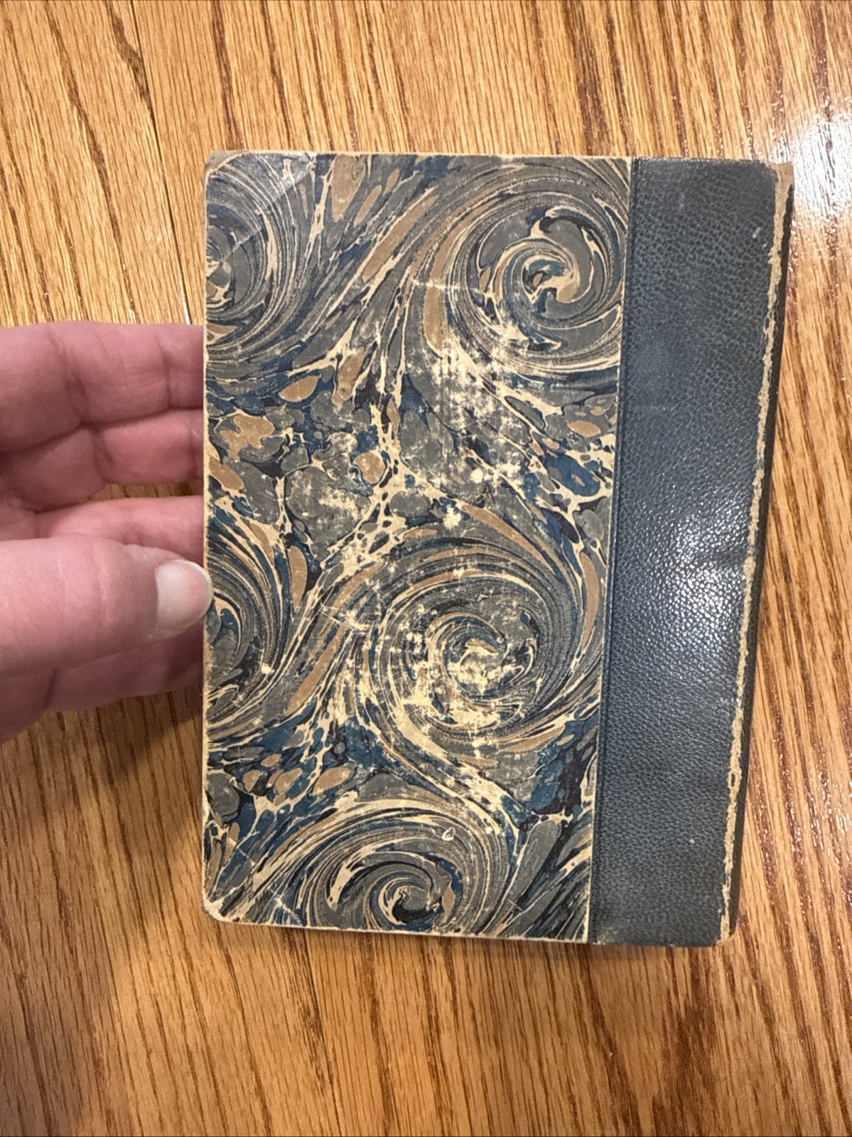 Countess Van Arnim “Fraulein Schmidt & Mr Anstruther”, 1907 Tauchnitz Edition