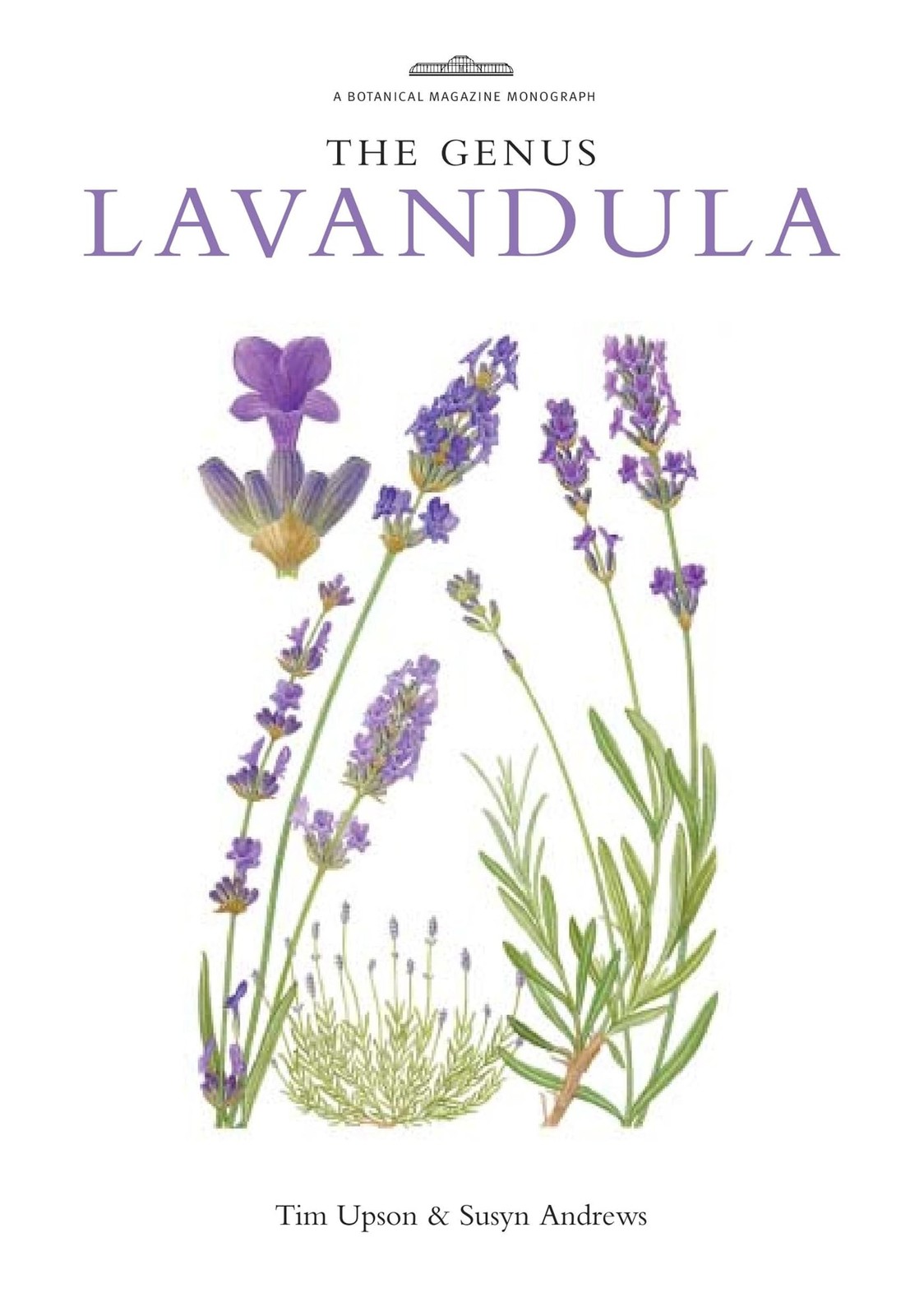 Genus Lavandula
