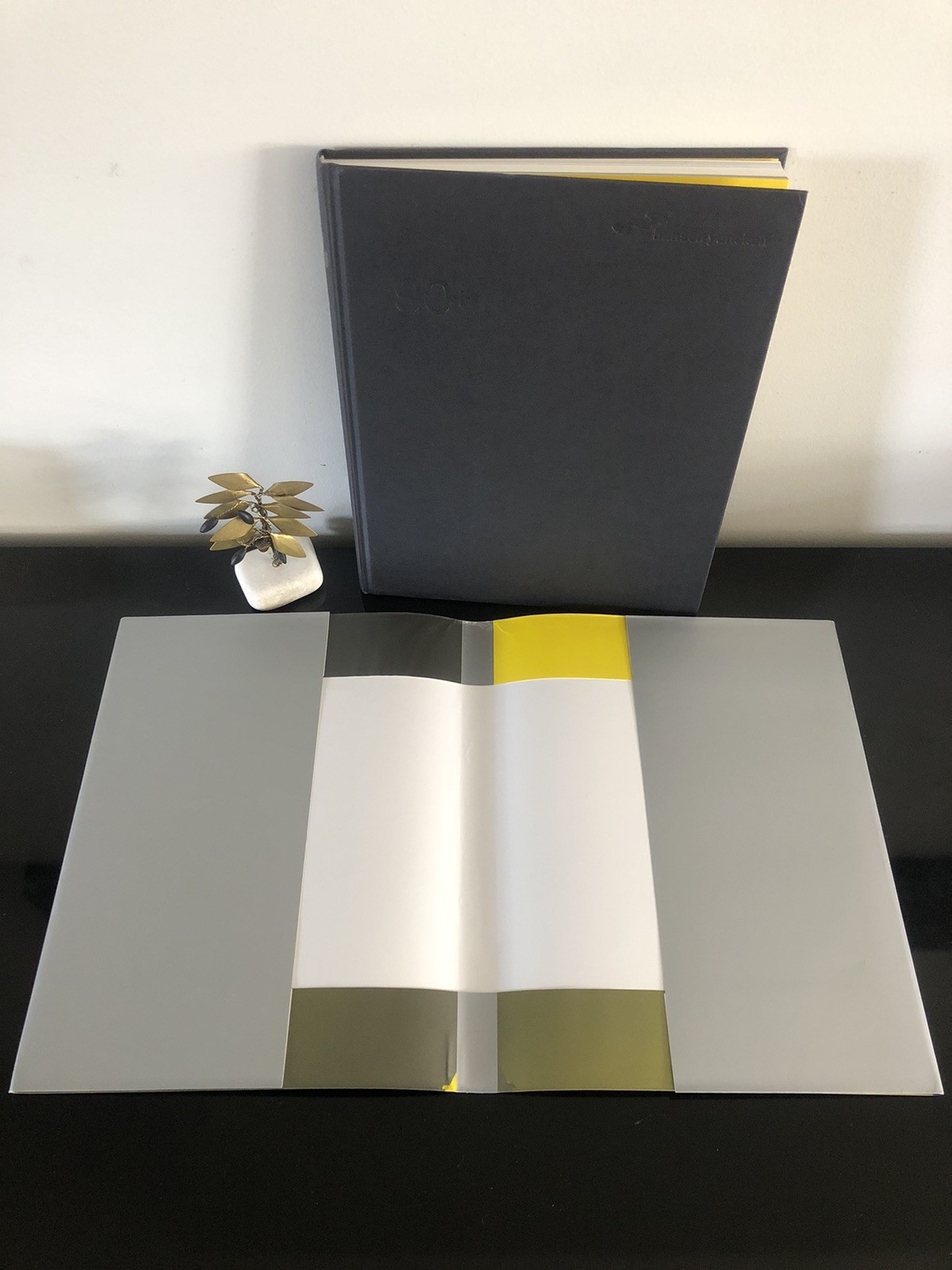 Architecture Hansen Yuncken 90+ 2007 First Edition HC DJ LN Company 🏗️