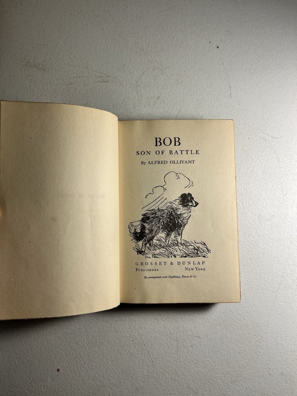 Bob Son of Battle by Alfred Ollivant 1898