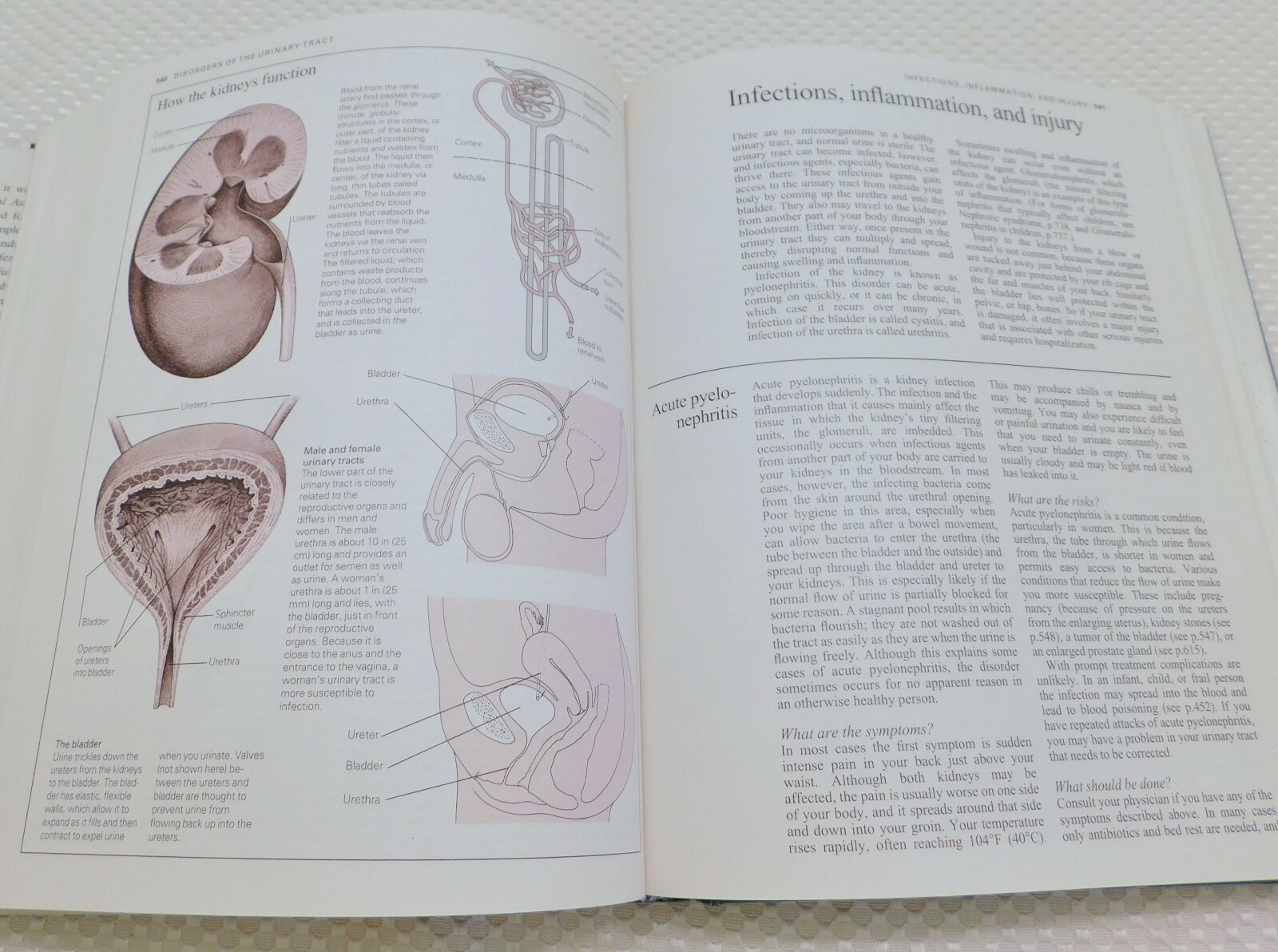 The American Medical Association Family Medical Guide 880 pages HC Dust Jacket