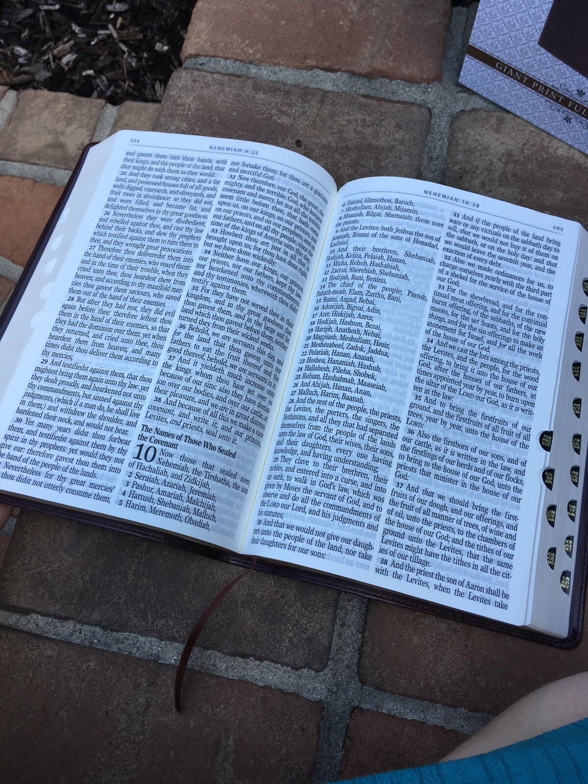 KJV Giant/Large Print Bible Red Letter ~ Beautiful ribbed cover ~thumb-indexed