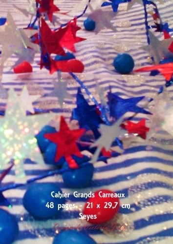 CAHIER GRANDS CARREAUX 48 PAGES 21X 29,7 CM: INTERIEUR By Victoria Joly **NEW**
