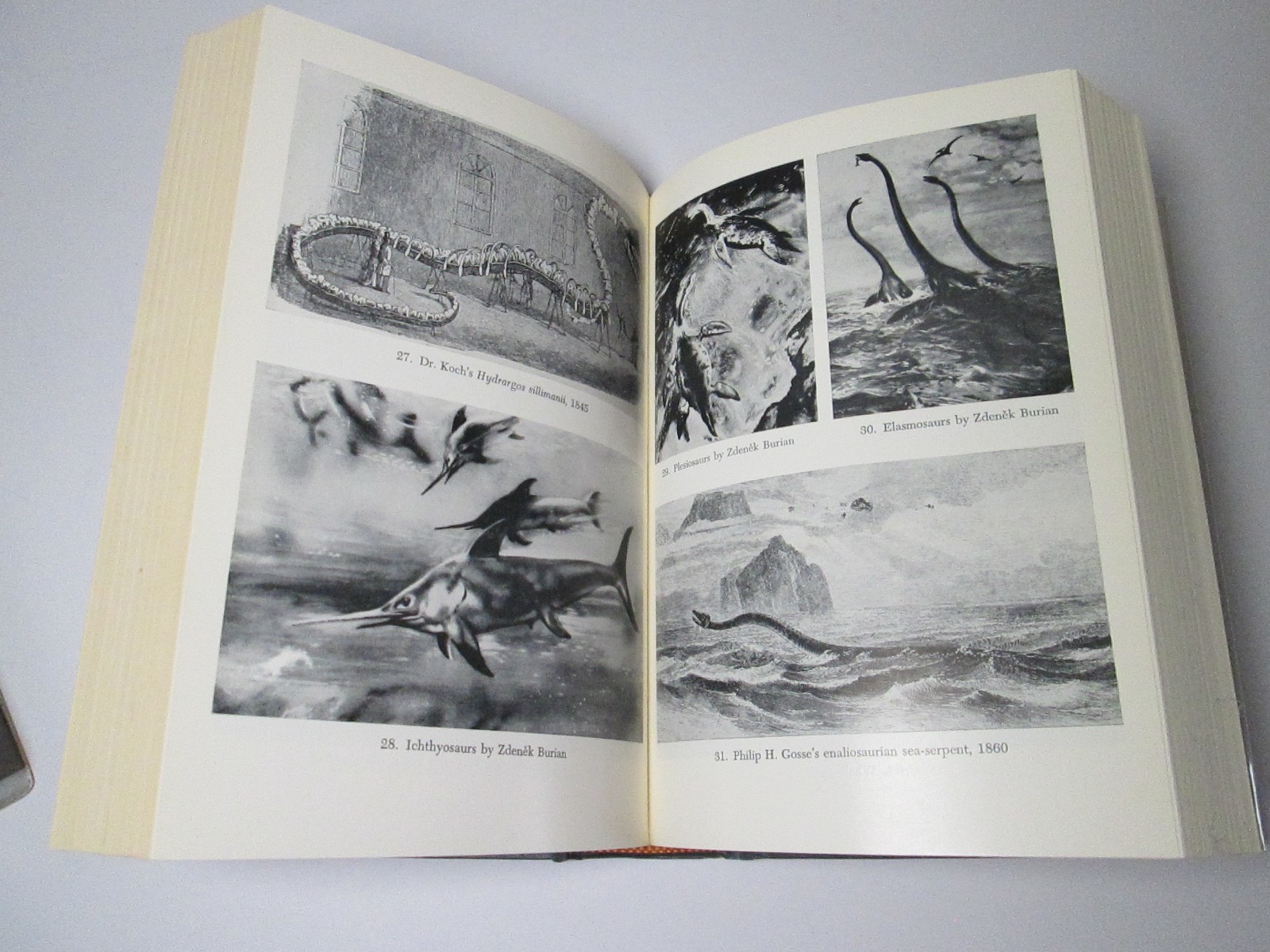 In The Wake Of The Sea Serpents Bernard Heuvelmans 1968 1st US ED Cryptozoology