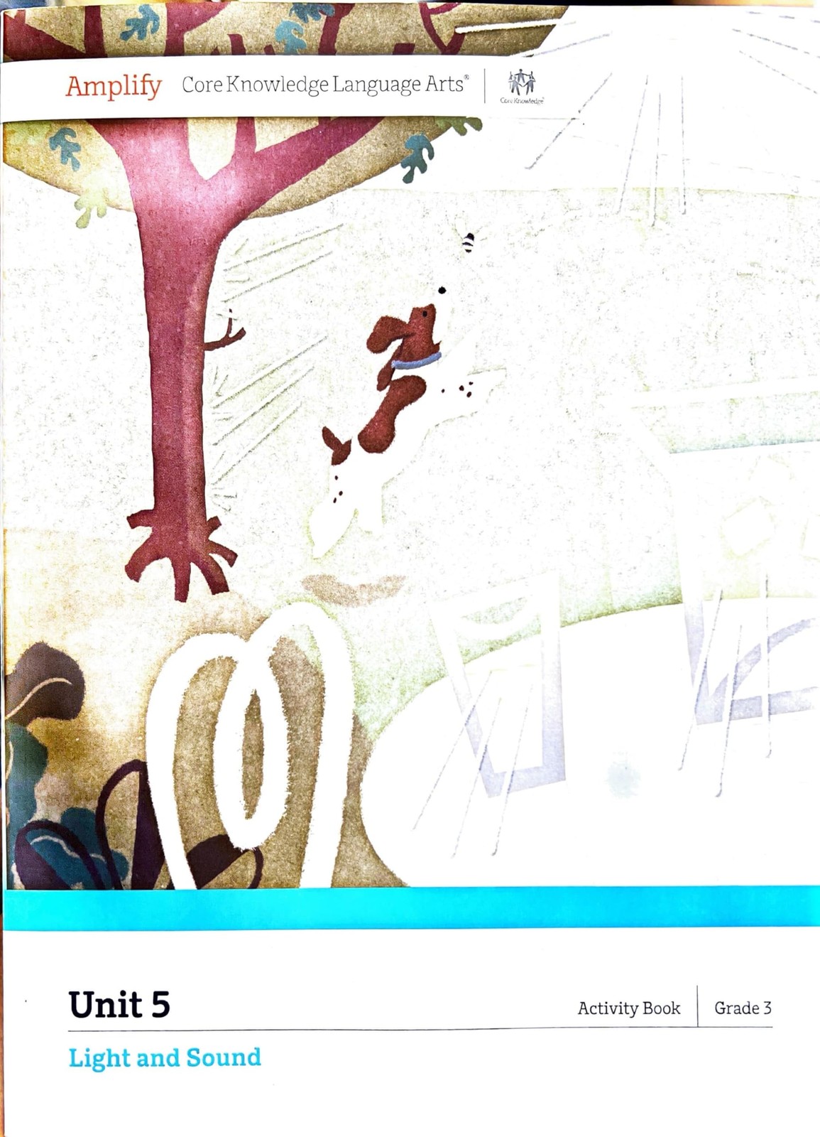 Amplify, Ligth and Sound , Activity Book, Grade 3, Unit 5.