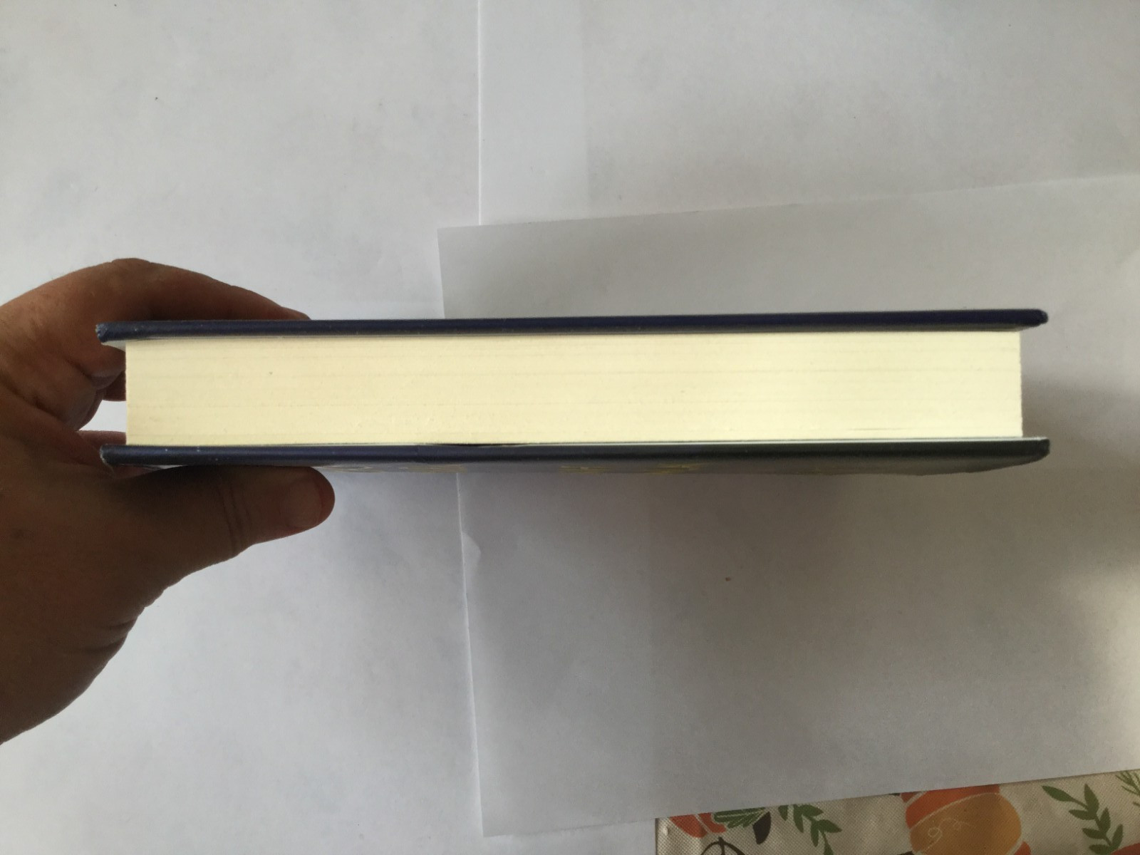 REMAIN by Nicholas Sparks and M. Night Shyamalan hardcover GOOD