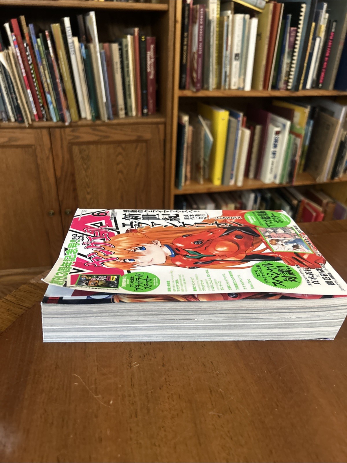 Young Ace[2013 June] Japanese Edition VG MANGA