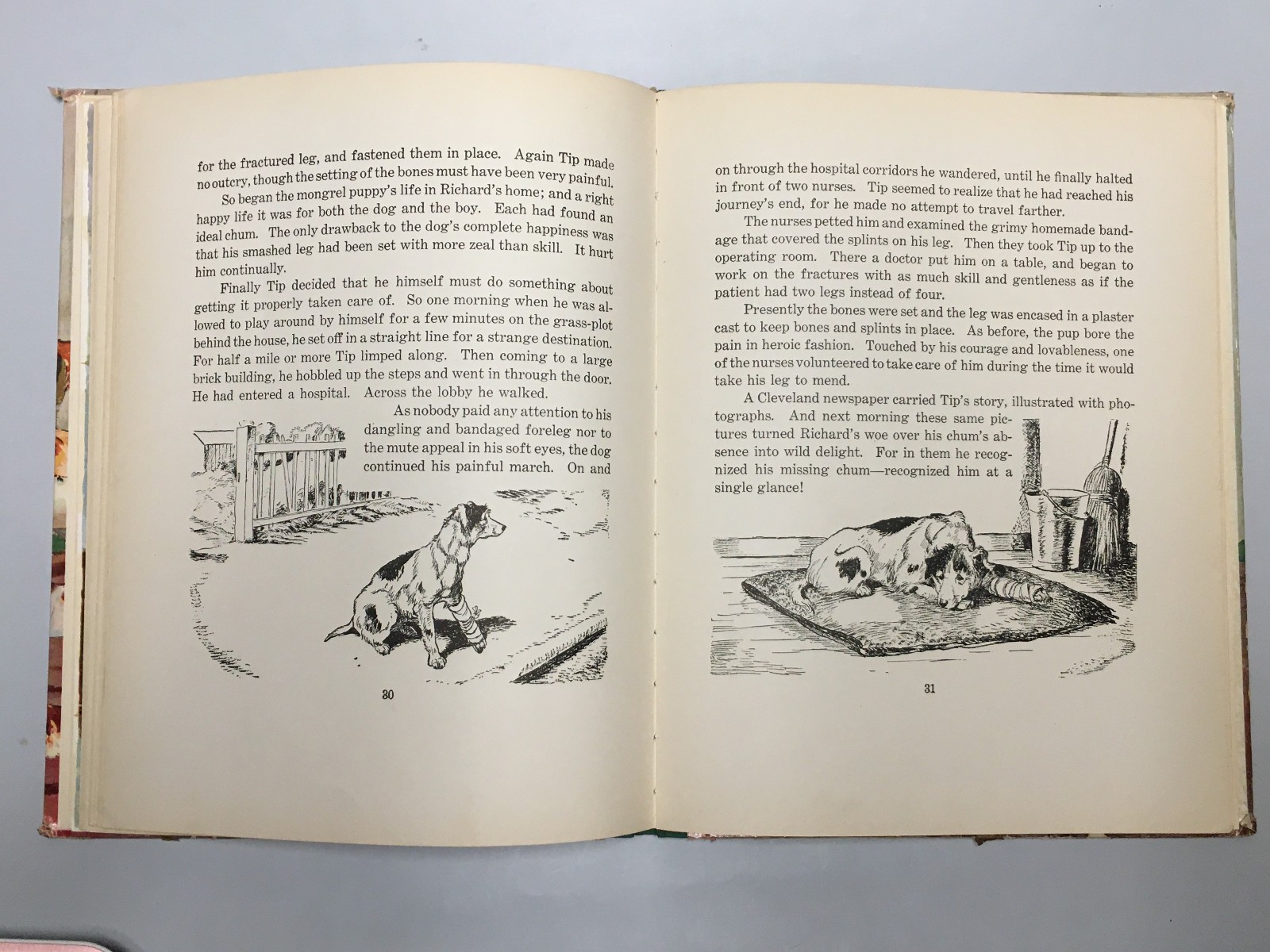 Dogs by Albert Payson Terhune & Kurt Wiese – 62 Pages Saalfield Publishing 1940