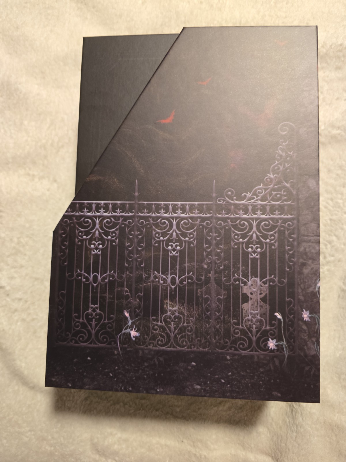 LitJoy Classics Gothic Box Set Dracula Poe Dorian Gray