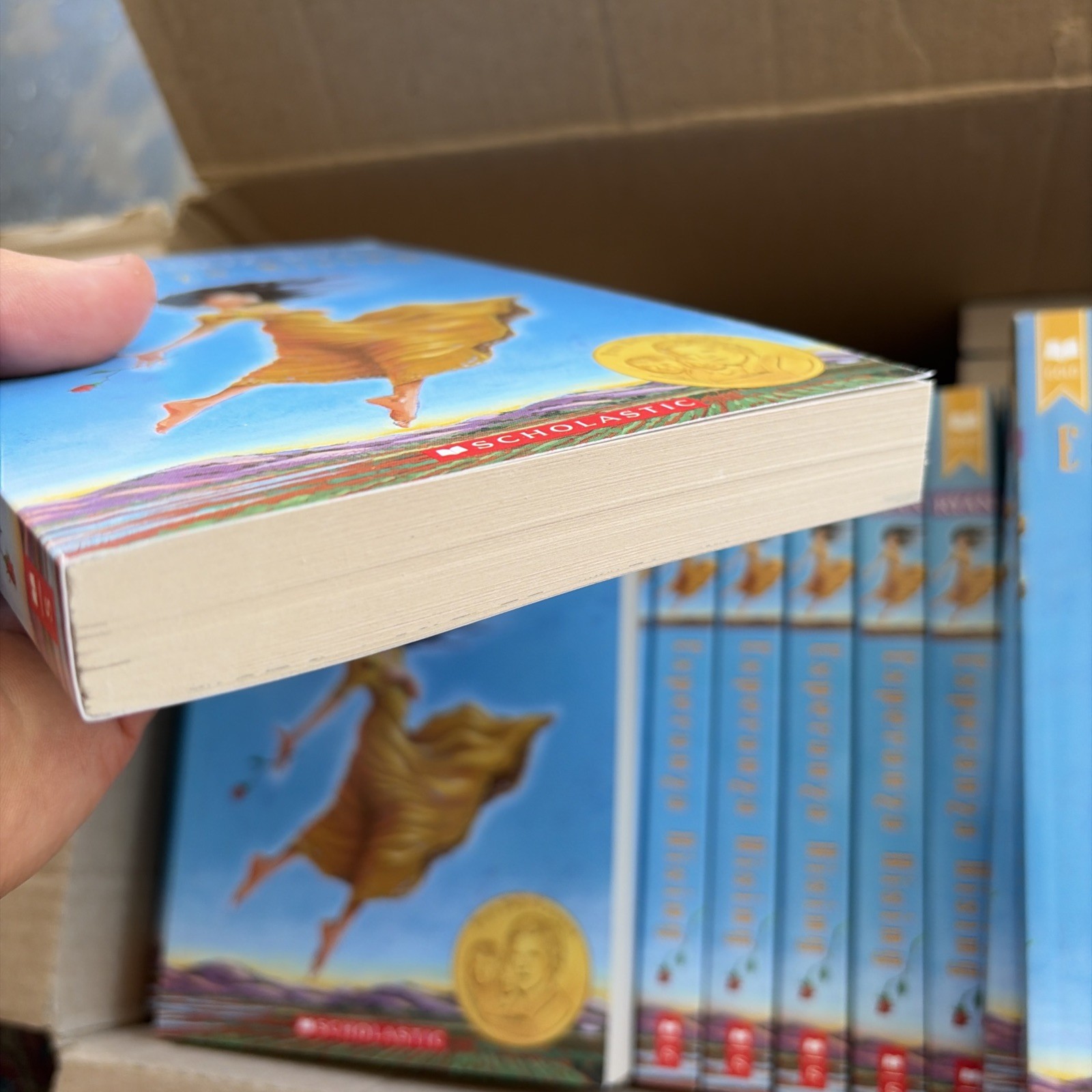 Esperanza Rising (Classroom Set Of 50) Pam Muoz Ryan guided reading