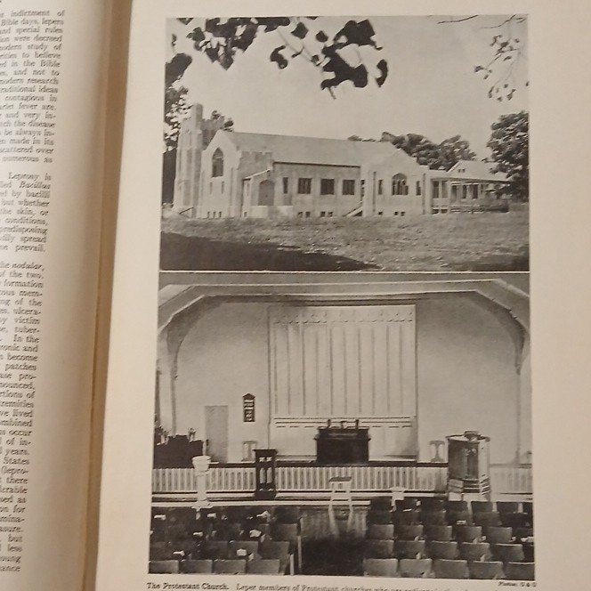 The World Book Encyclopedia Vol 7 Leon to Monroe 1931 Roach-Fowler HC Illus