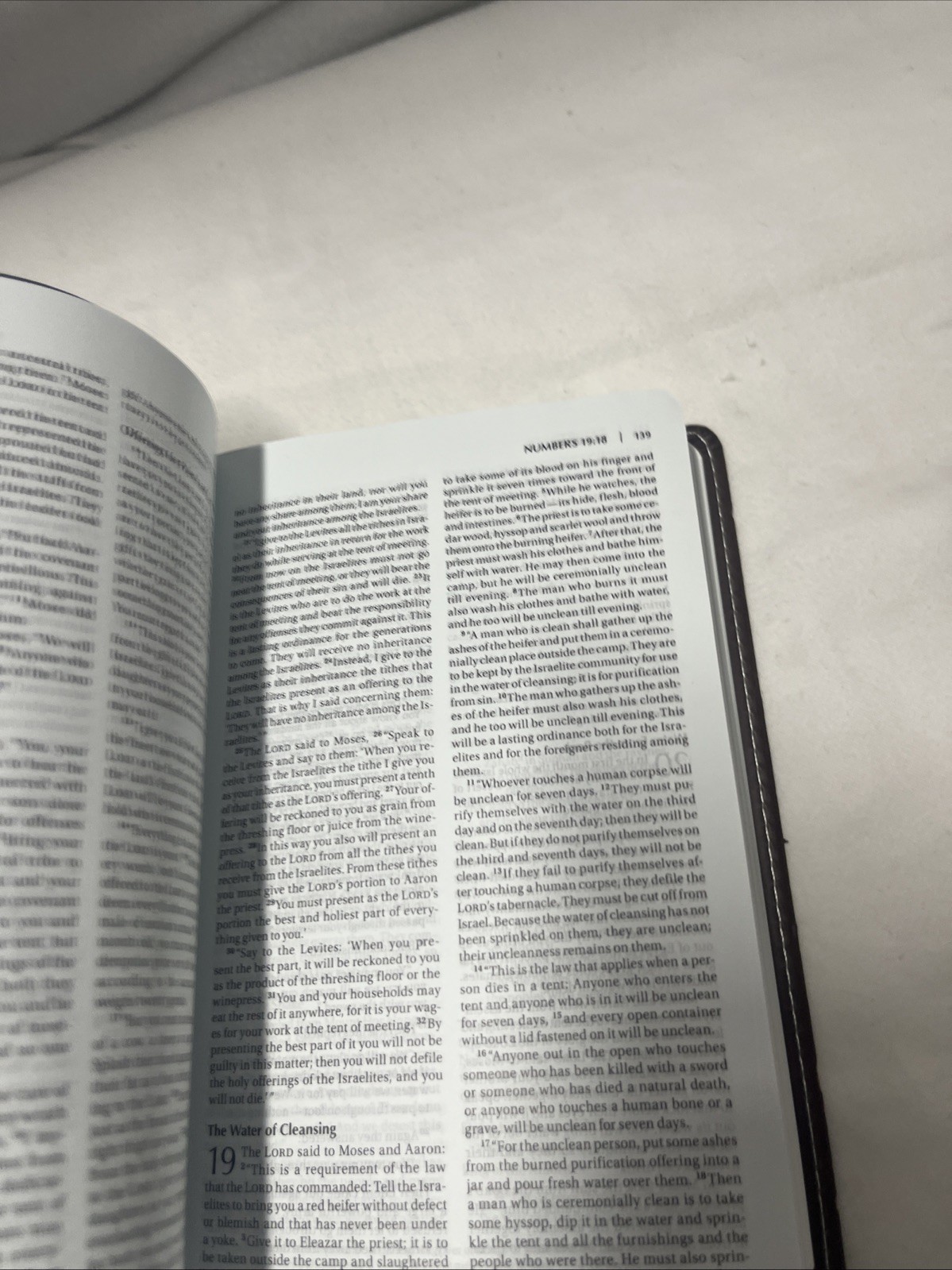 Blue-Gray/ Brown NIV Compact Thinline Bible, Italian Duo-Tone Edition, Biblica/Z