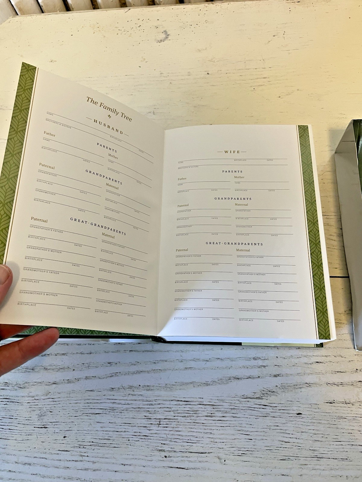 Life Application Study Bible NLT New Living + Slipcase Large Print 2020 3rd ED
