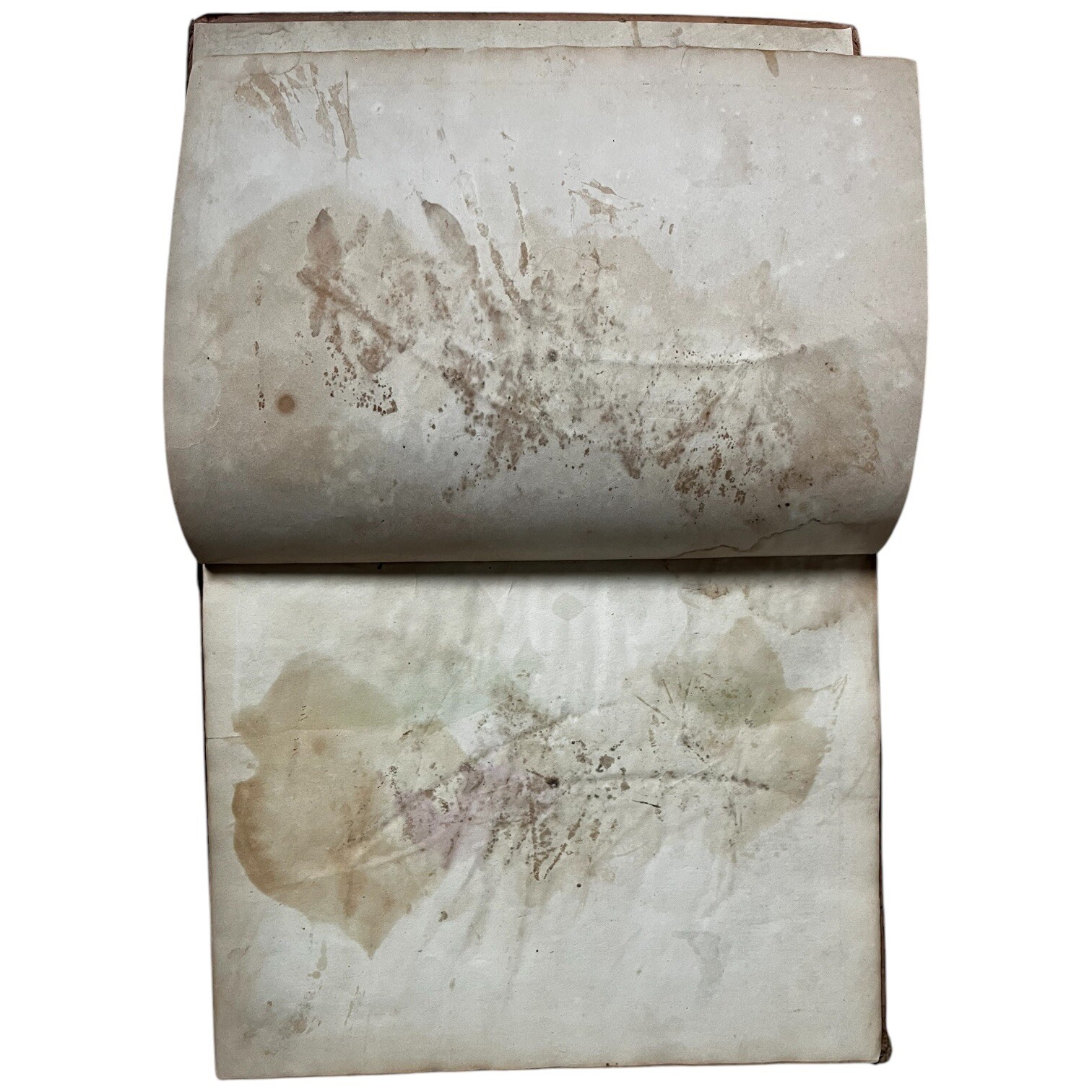 Antique Modern Atlas To Accompany Woodbridge Universal Geography 1840
