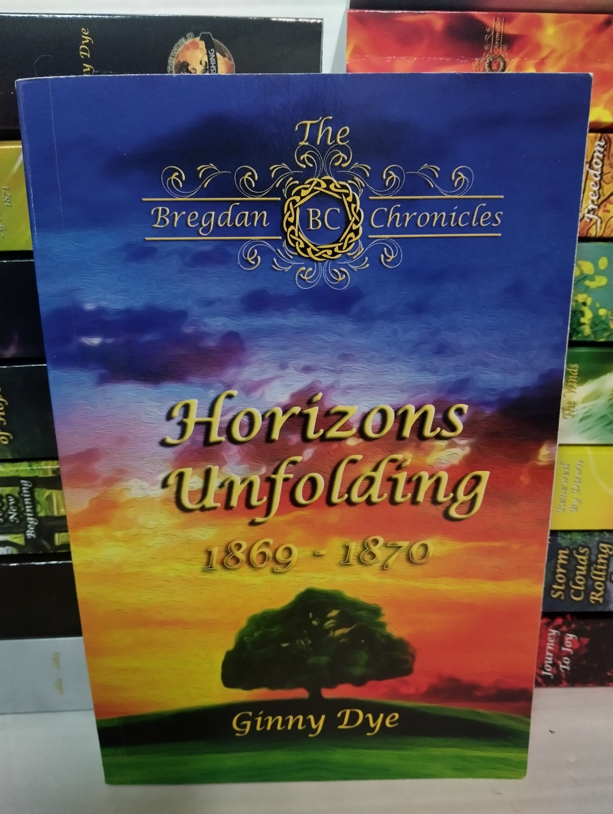 Bregdan Chronicles by Ginny Dye: Lot Of 19 Paperback Books Historical Fiction