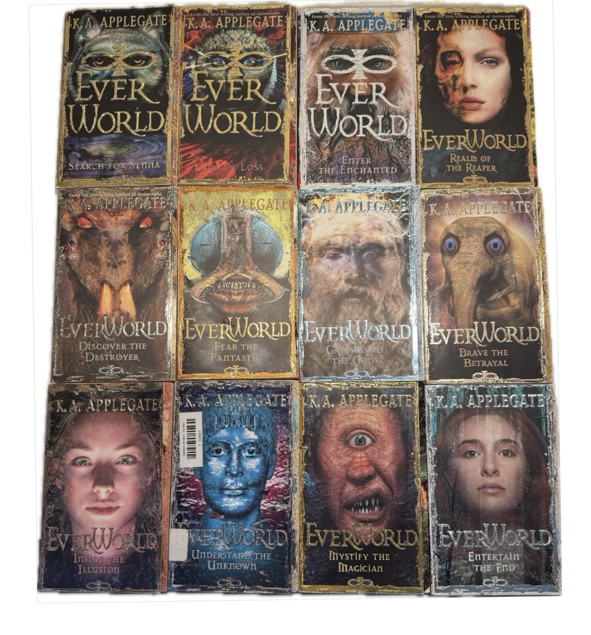 Complete Set Series – Lot of 12 Everworld Books by K.A. Applegate YA