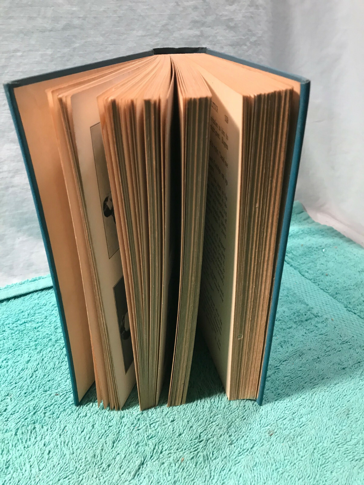 Vintage Book WILL ROGERS Hardcover 288 Pages by P.J. O’BRIEN 1935 Illustrated