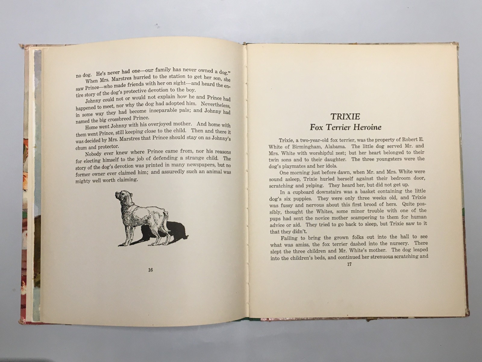 Dogs by Albert Payson Terhune & Kurt Wiese – 62 Pages Saalfield Publishing 1940