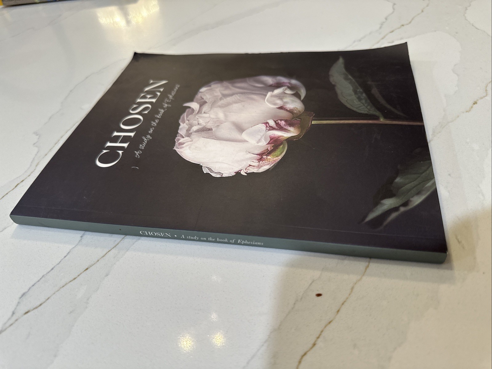 Chosen: A Study on the Book of Ephesians – Paperback – GOOD