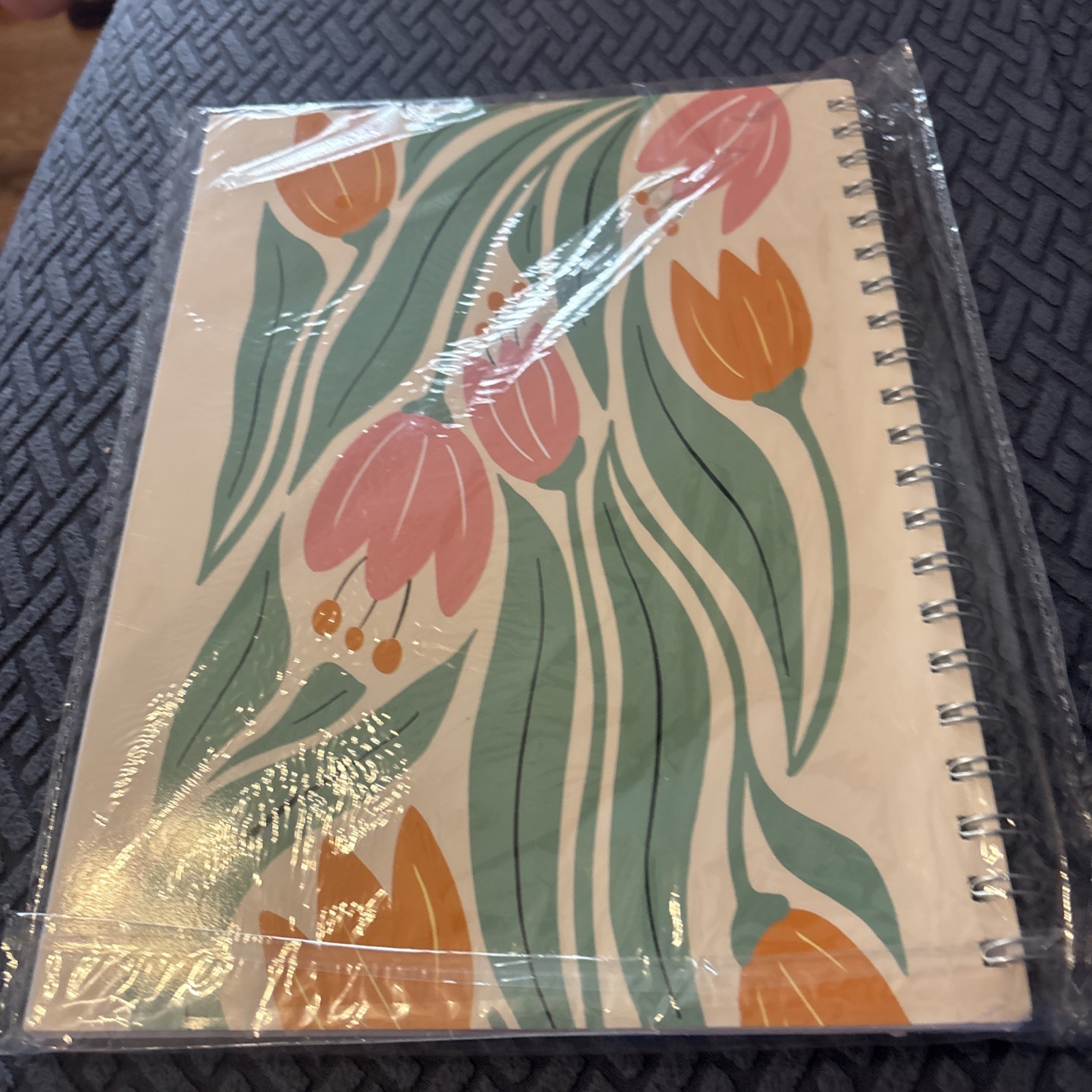 The Bible in a Year 52-Week Study for Women Spiral Bible Study Guide New