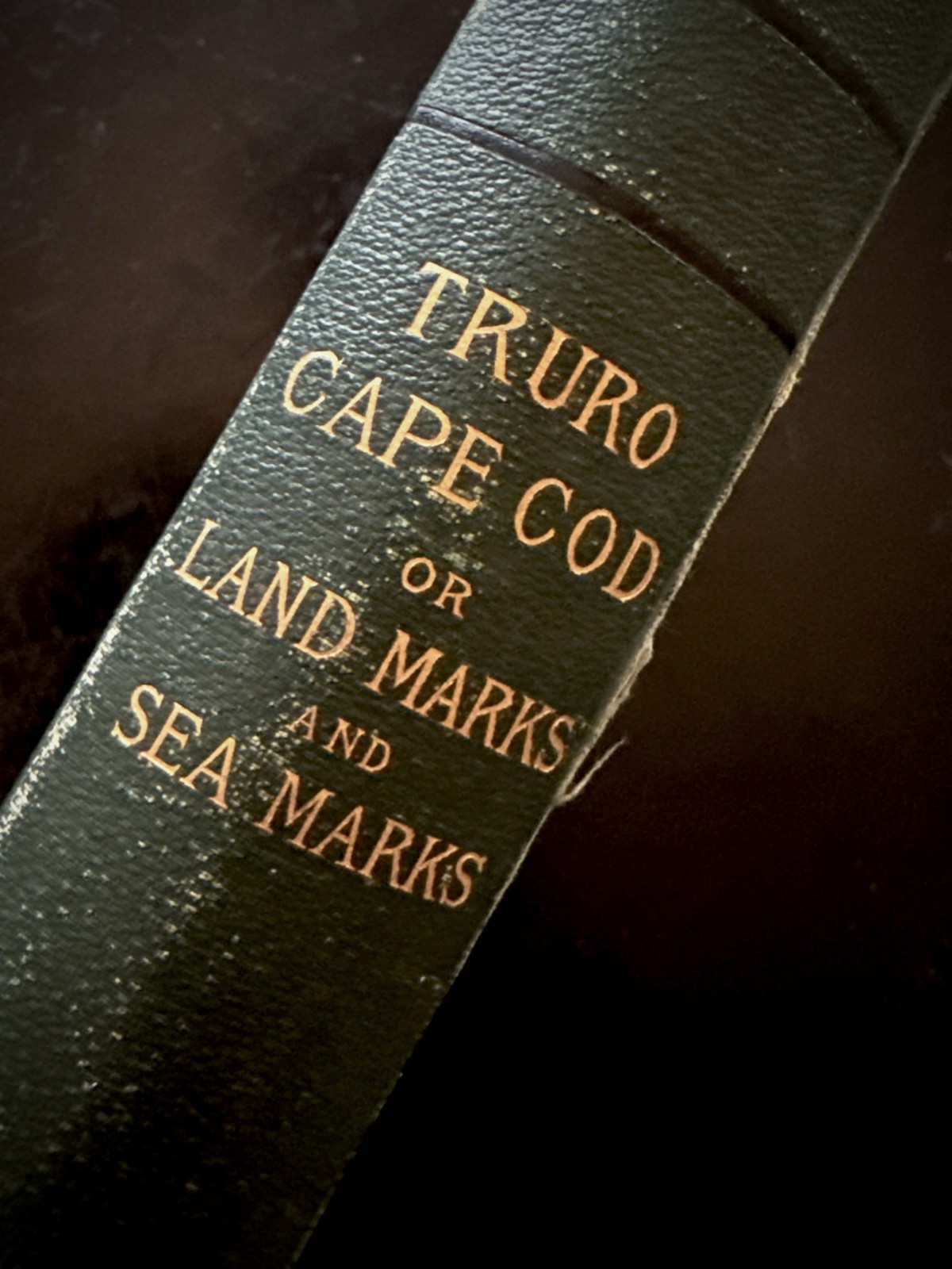 1st Edition 1883 Truro-Cape Cod Land Marks & Sea Marks HC Book by Shebnah Rich