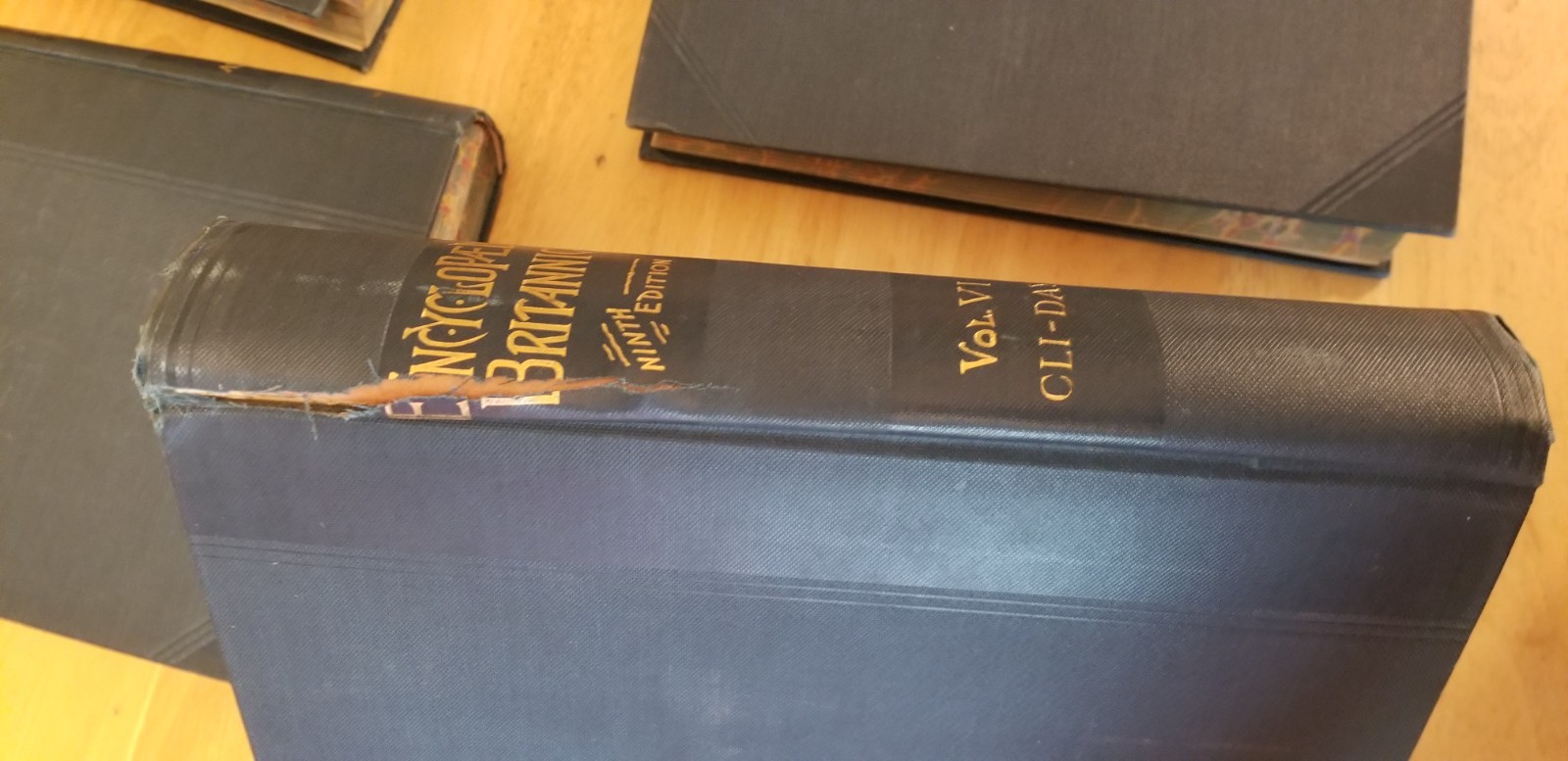 30 volume set Ninth Edition Encyclopedia Britannica Reprint 1890’s Henry G Allen