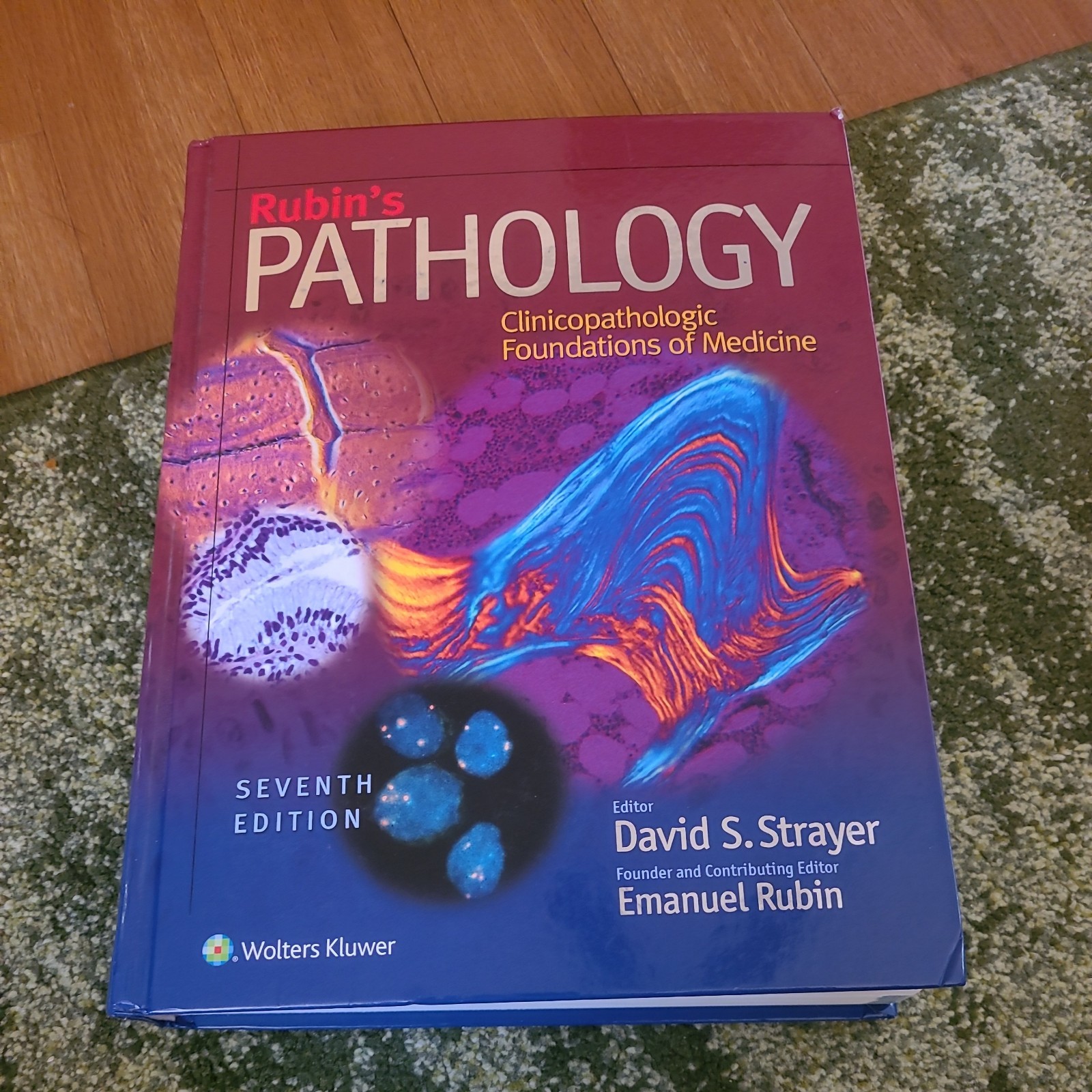 Rubin’s Pathology: Clinicopathologic Foundations of Medicine (Pathology (Rubin))