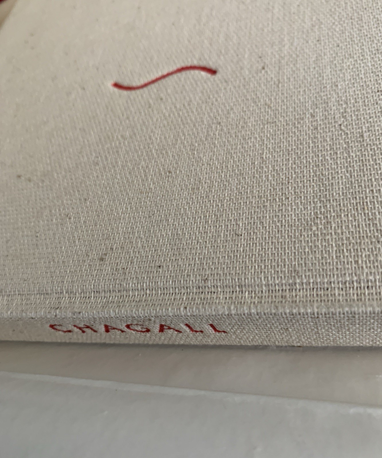 Critical Study Of Chagall• SKIRA•COLLECTORS EDITION •123Pages•