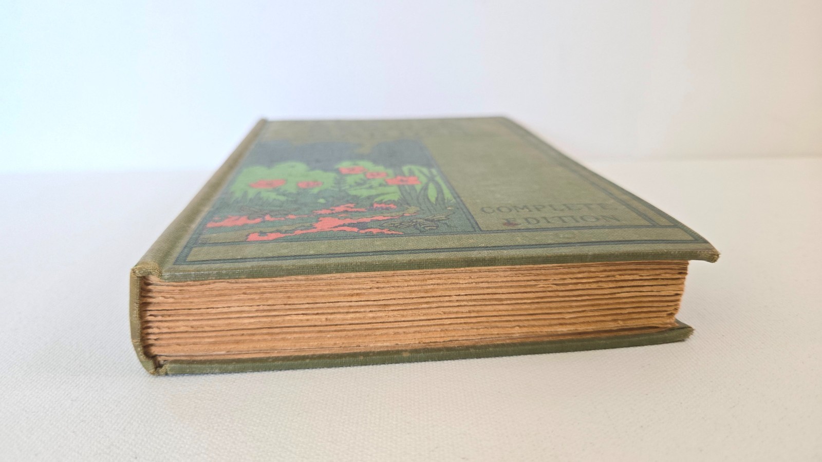 Elizabeth and Her German Garden HC 1902 The Macmillan Company, Complete Edition