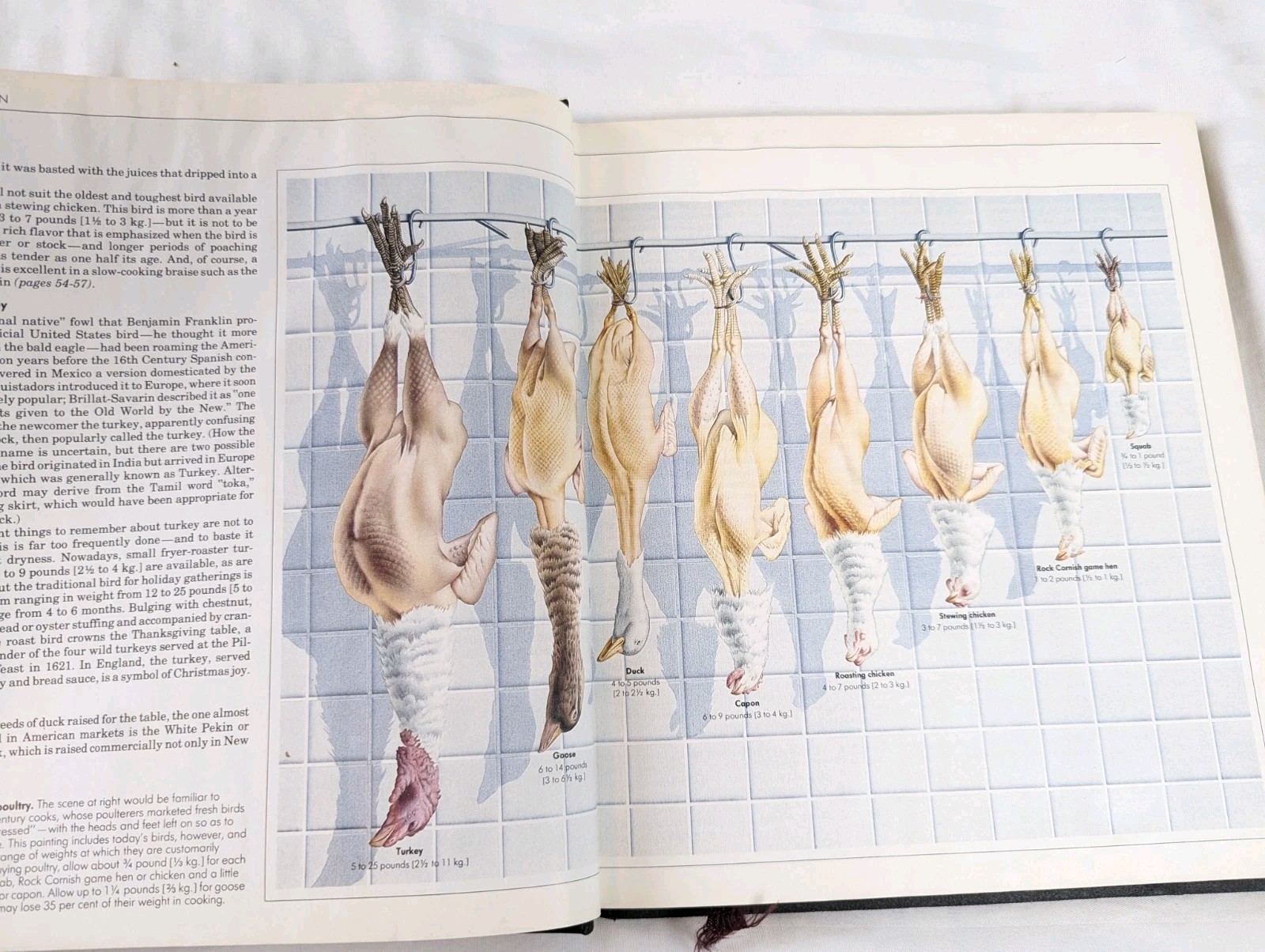 Poultry Time Life (Hardcover, 1984) Good Cook Series, Techniques Recipes