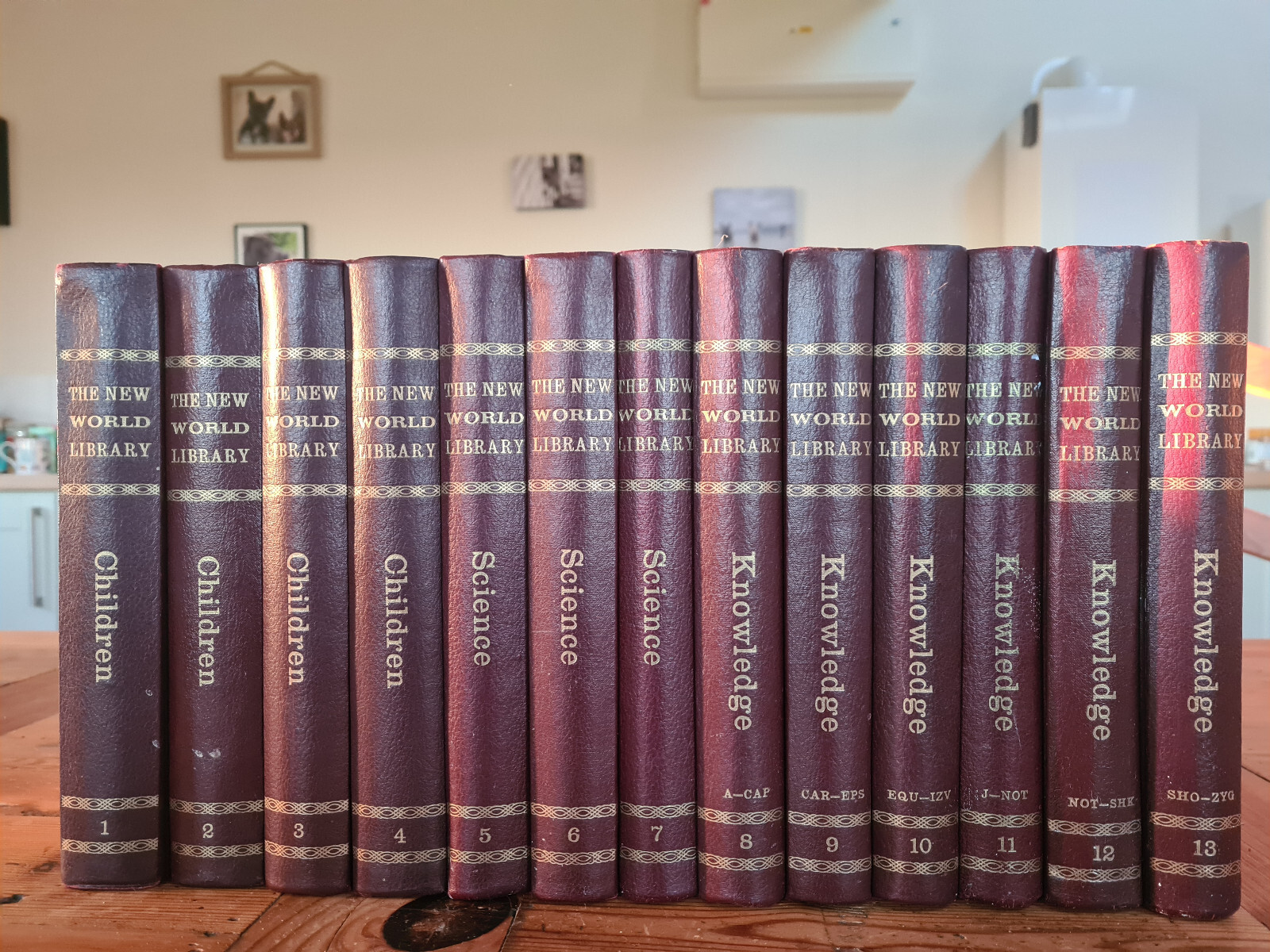 New World Library Family Encyclopedia set 1966 13 Volumes