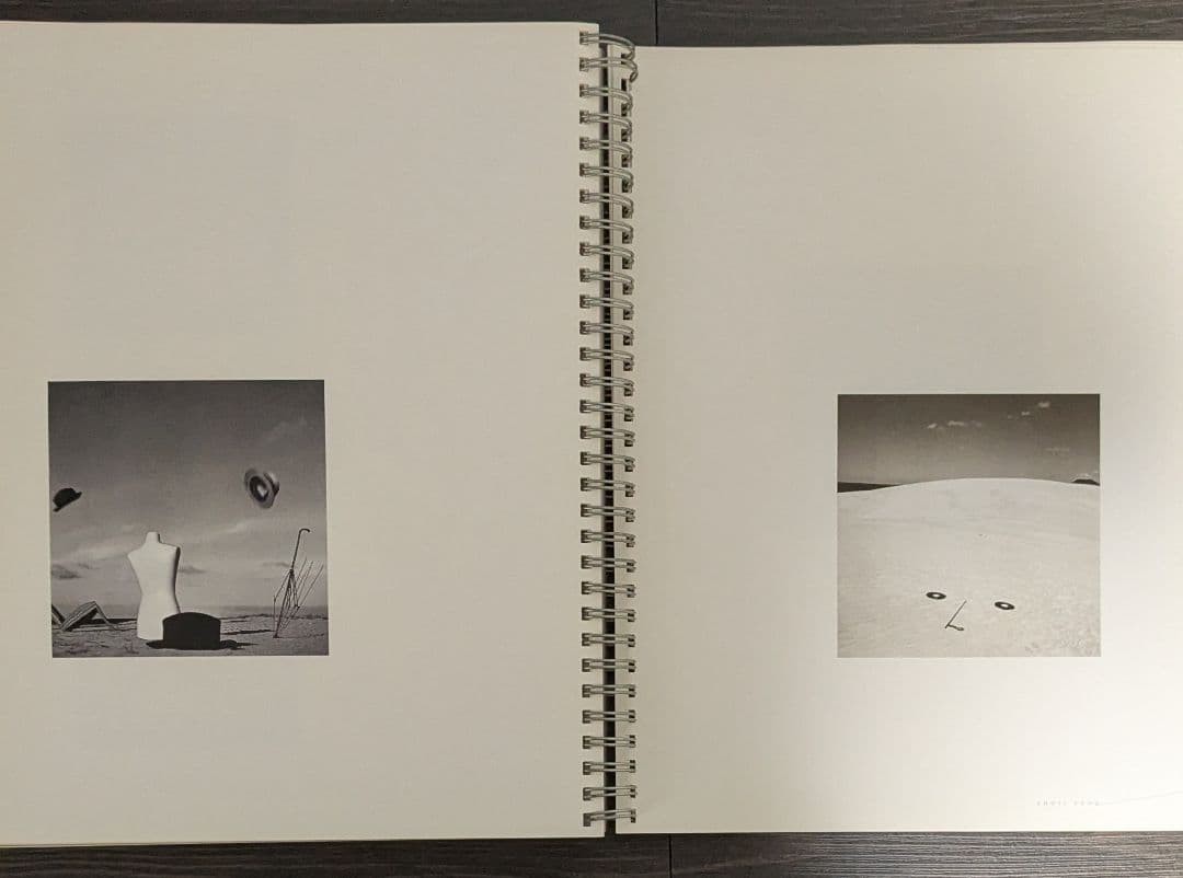 SHASIN Exhibition: Six Individualities that Create an Era Catalog
