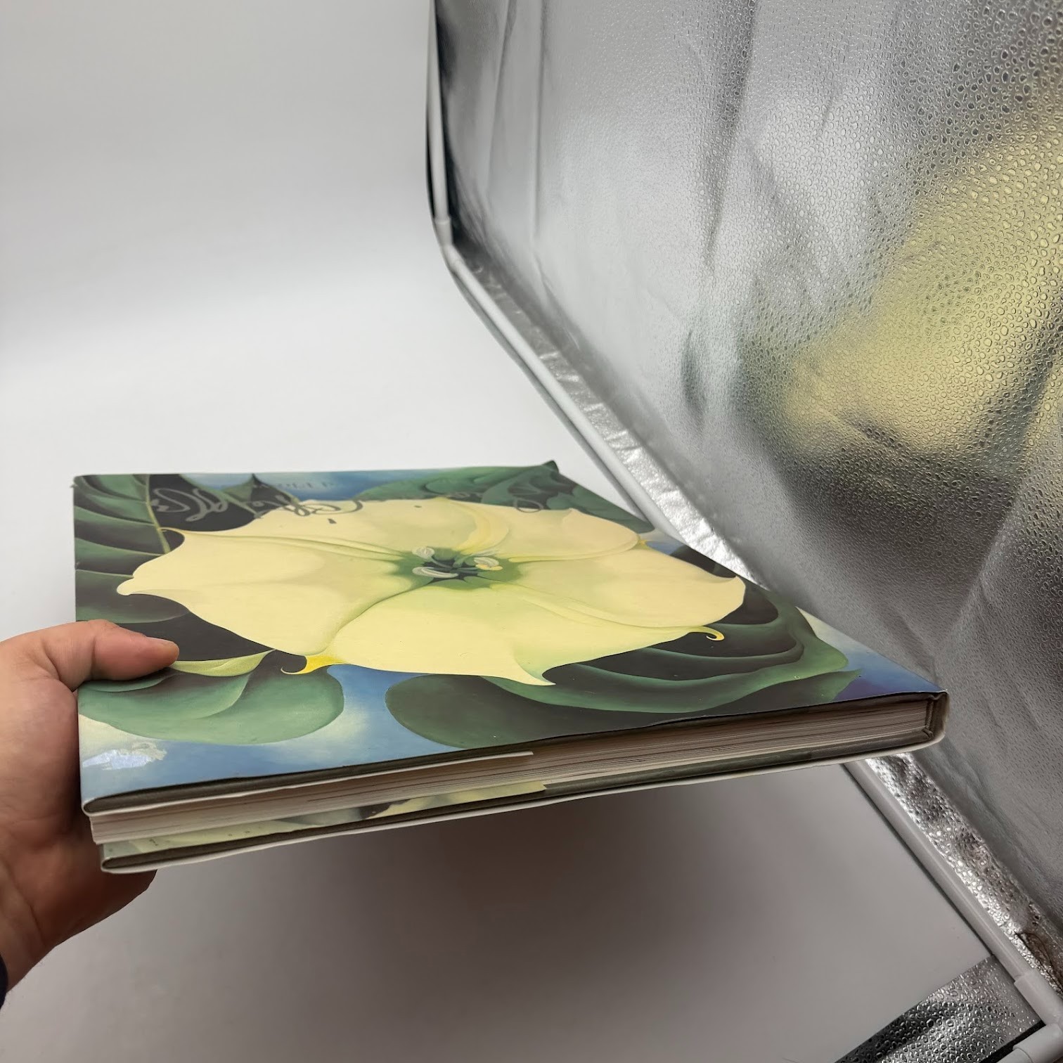 Georgia O’Keeffe : One Hundred Flowers by Georgia O’Keeffe (1995, HC) 16×13 in.