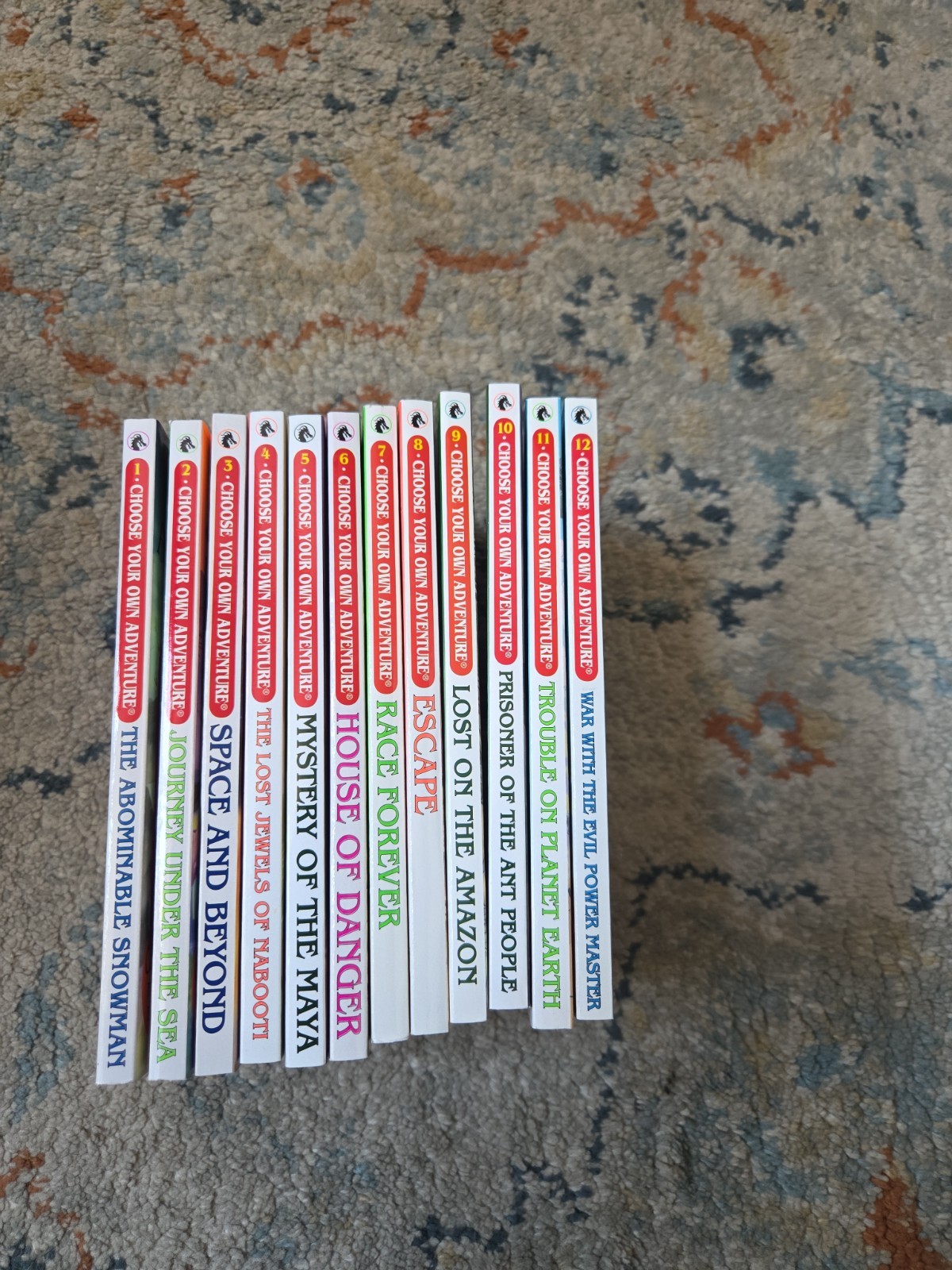 Choose Your Own Adventure Book Set 1 -12